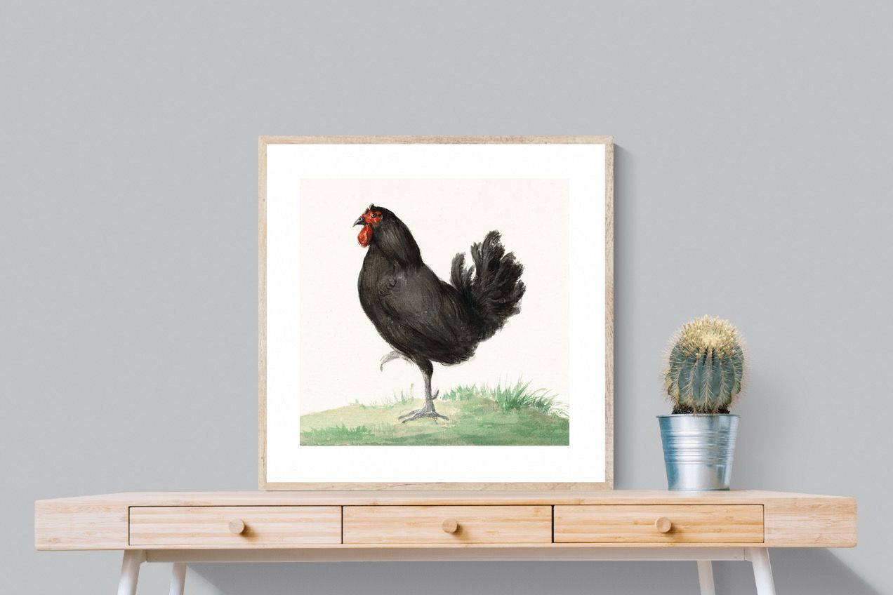 Pixalot Standing Black Chicken