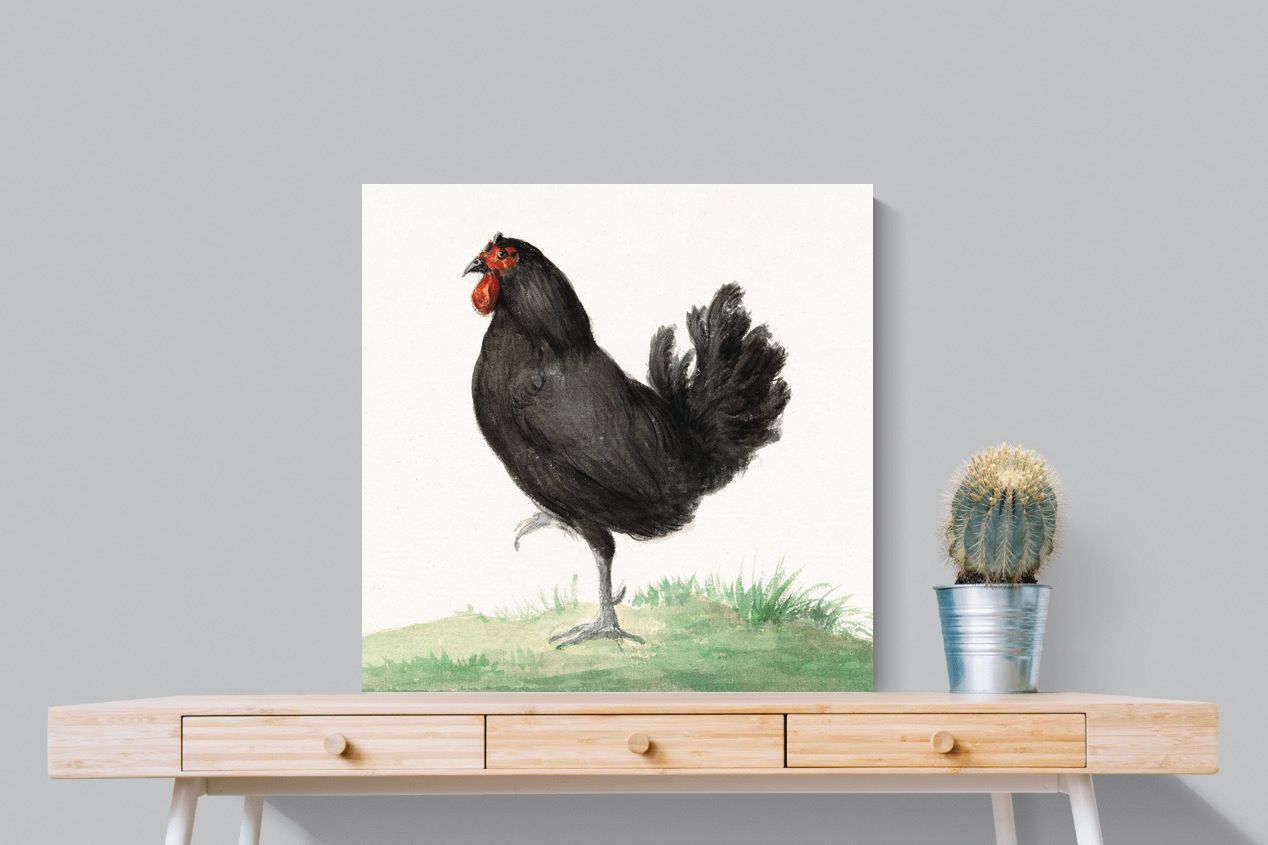 Pixalot Standing Black Chicken