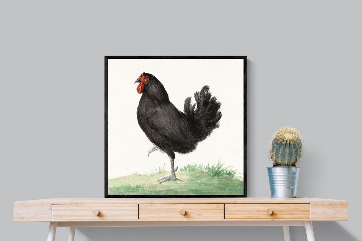 Pixalot Standing Black Chicken