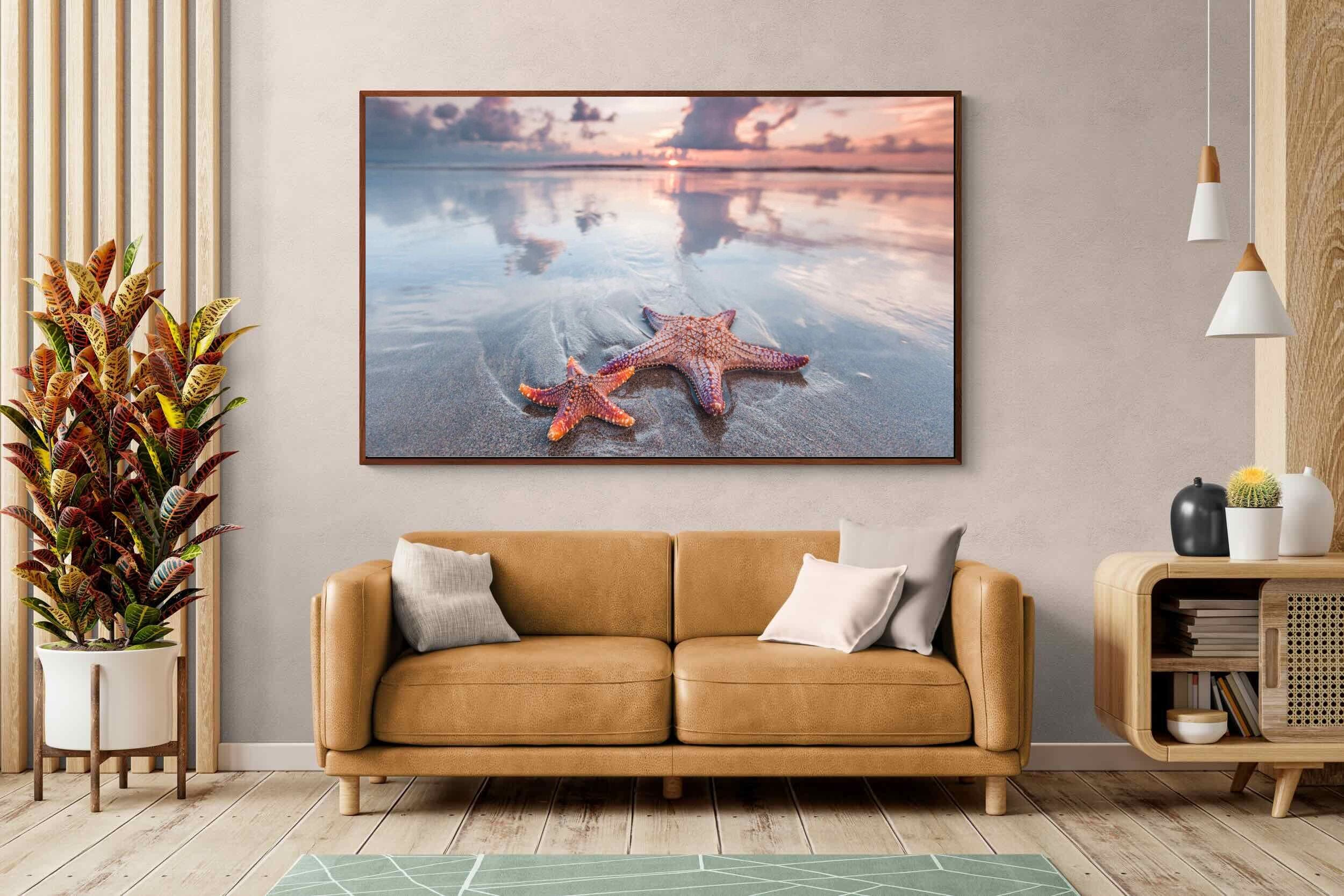 Pixalot ® Starfish