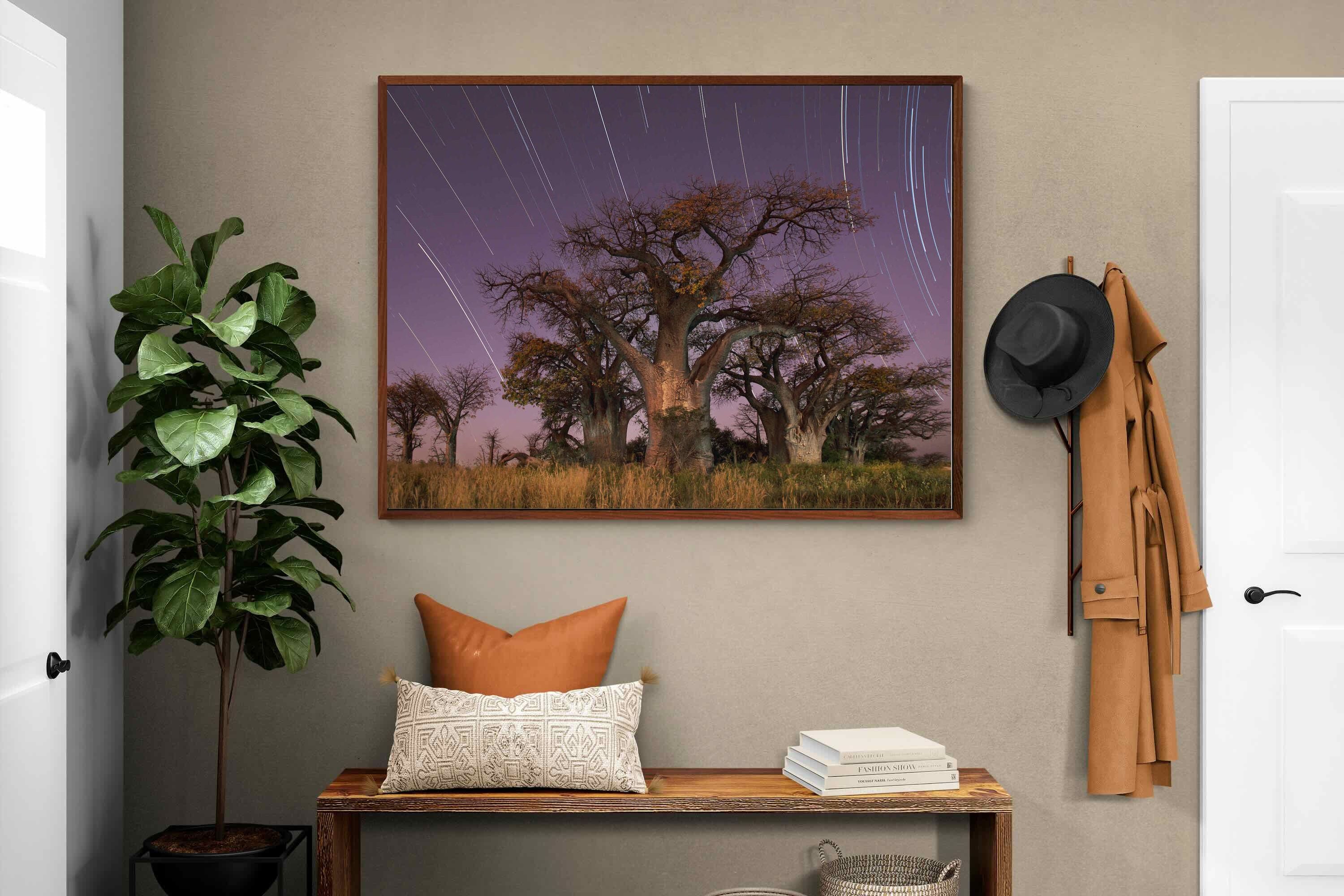 Pixalot ® Starry Sky Baobab