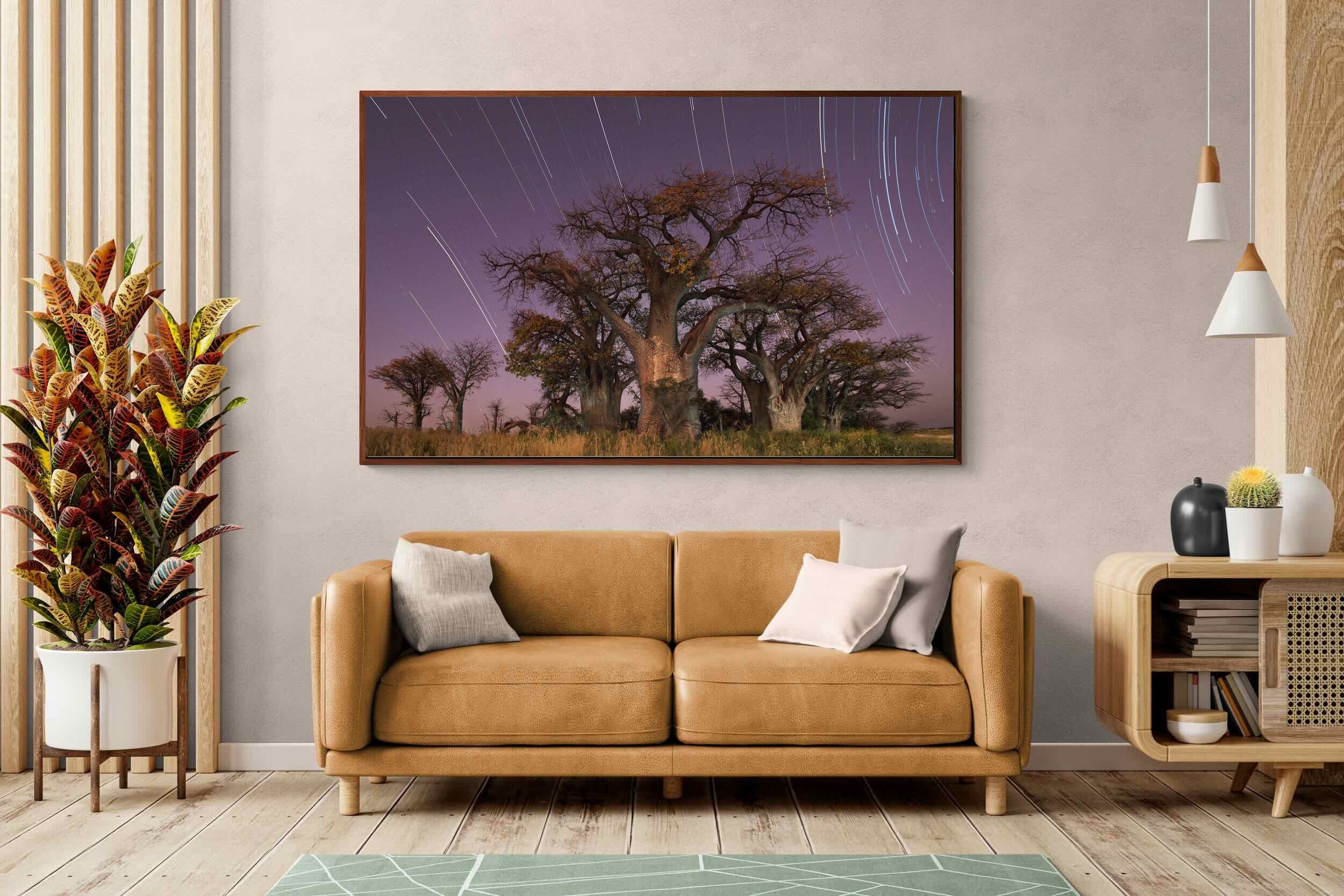 Pixalot ® Starry Sky Baobab