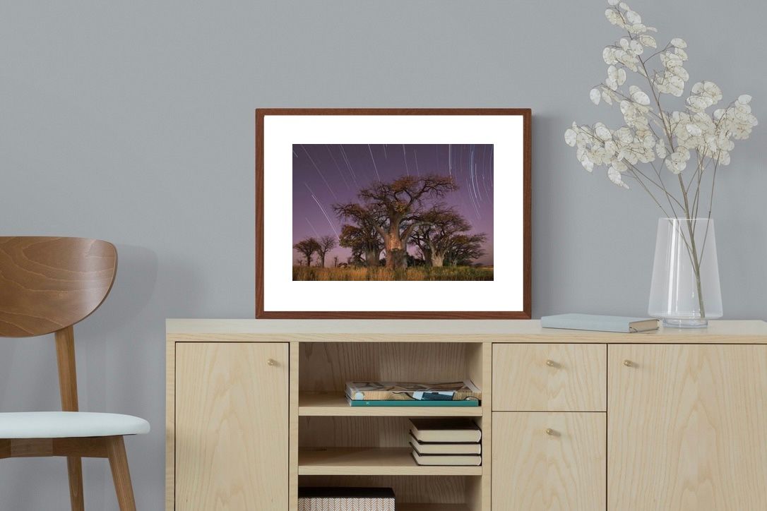 Pixalot ® Starry Sky Baobab