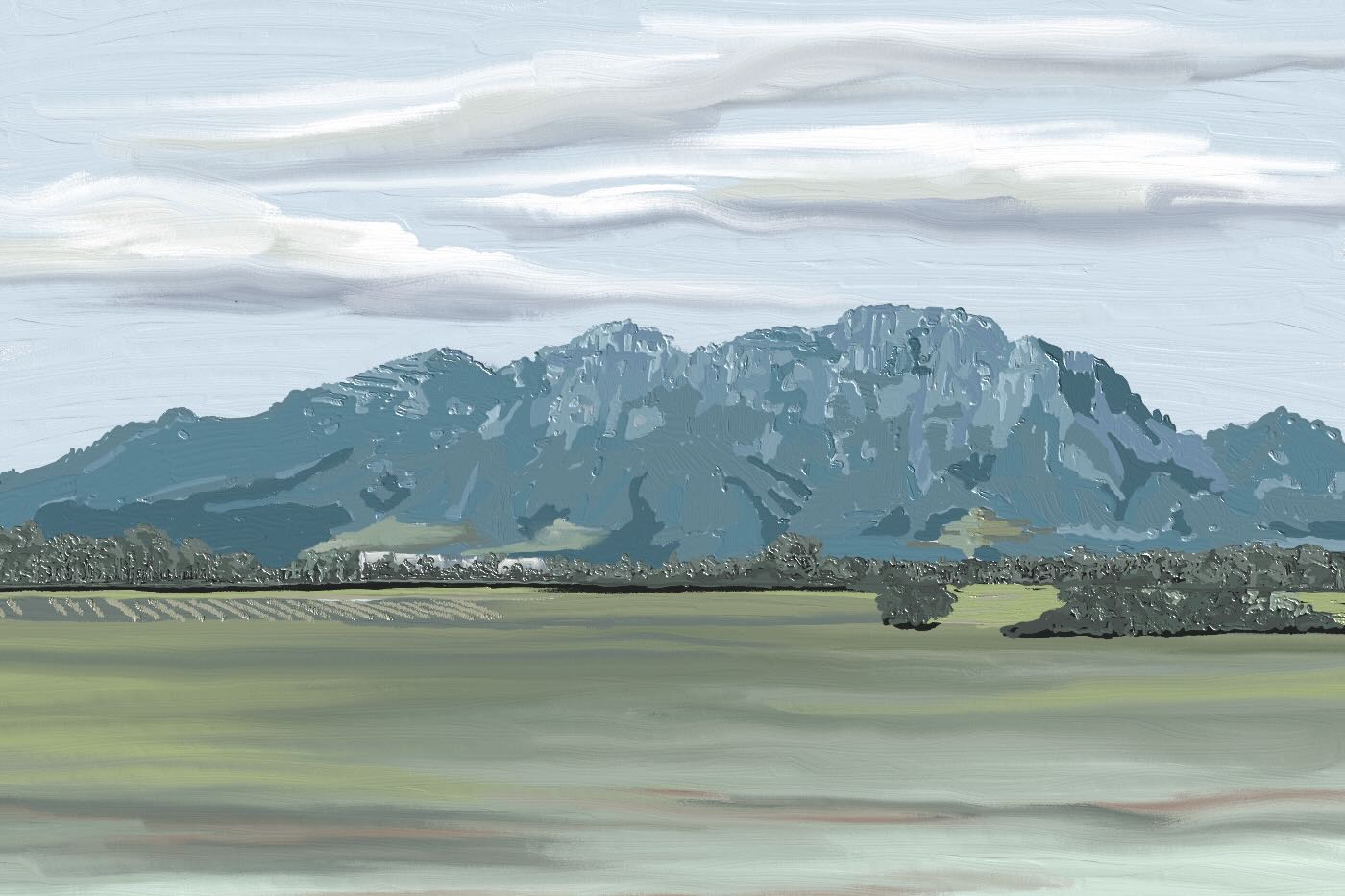 Stellenbosch Vista