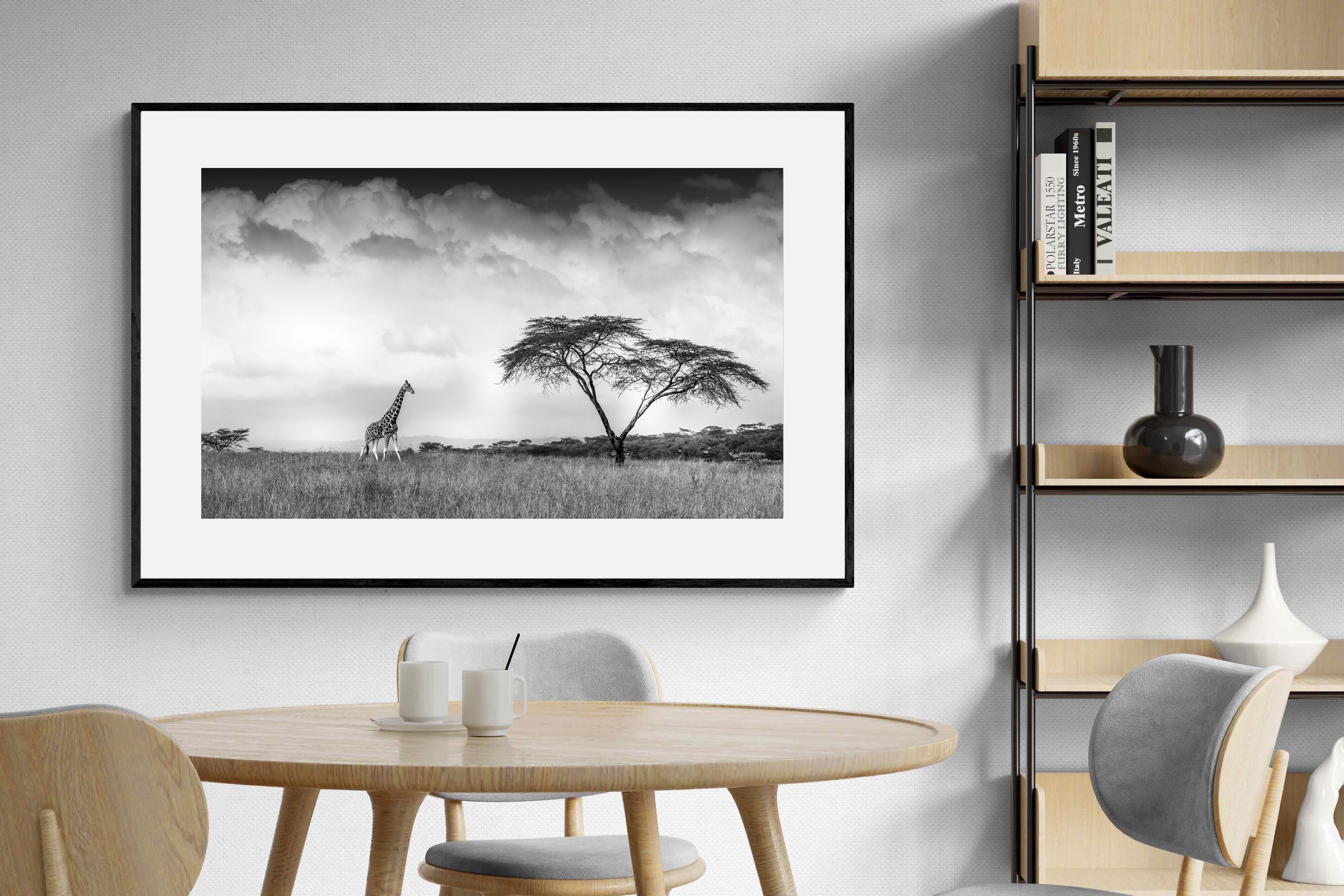 Pixalot ® Stormy Africa