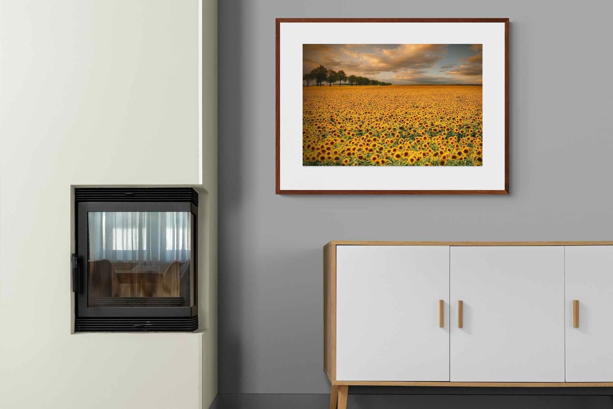 Pixalot ® Sunflower Field