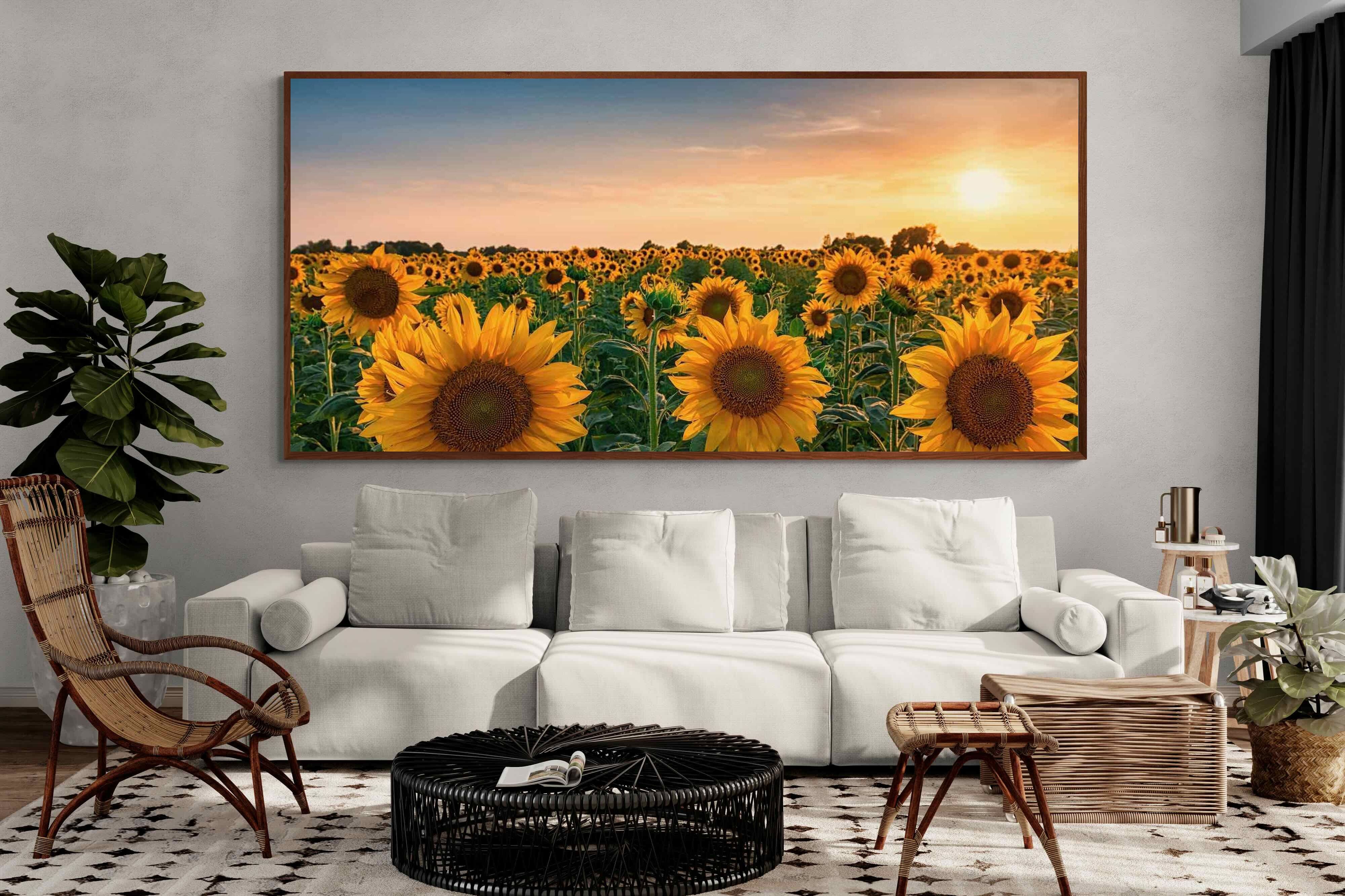 Pixalot ® Sunflowers