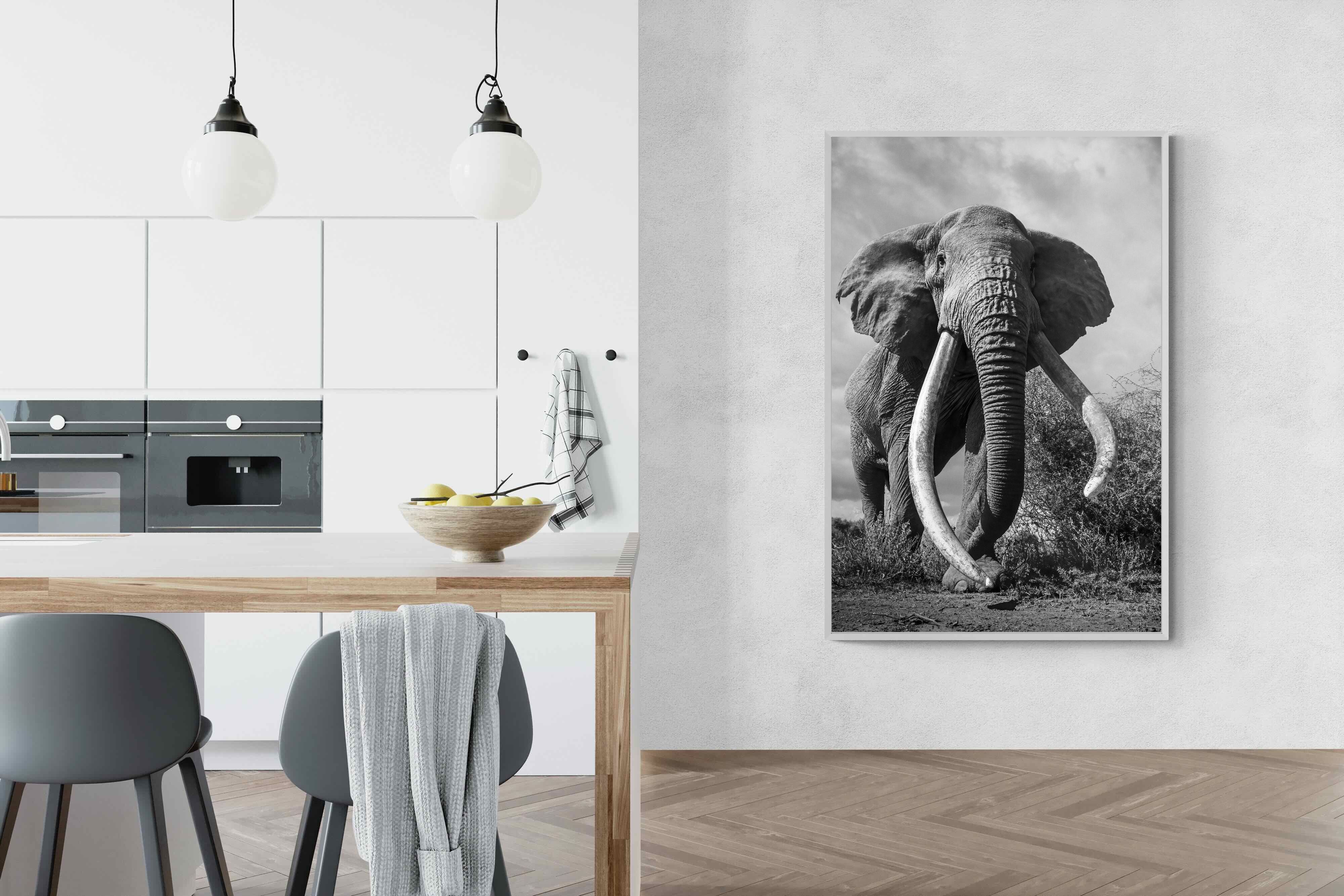 Pixalot Super Tusker