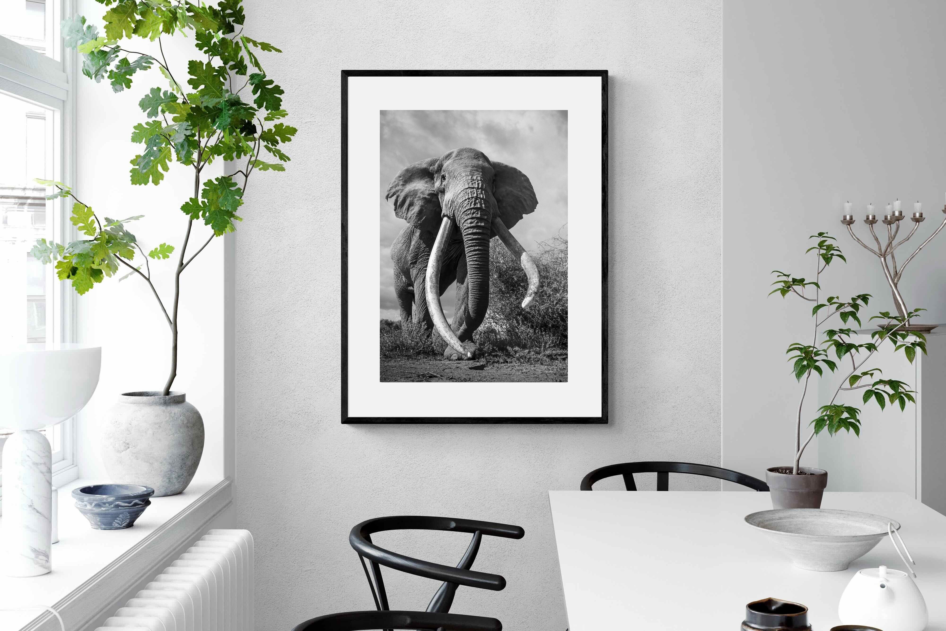 Pixalot Super Tusker