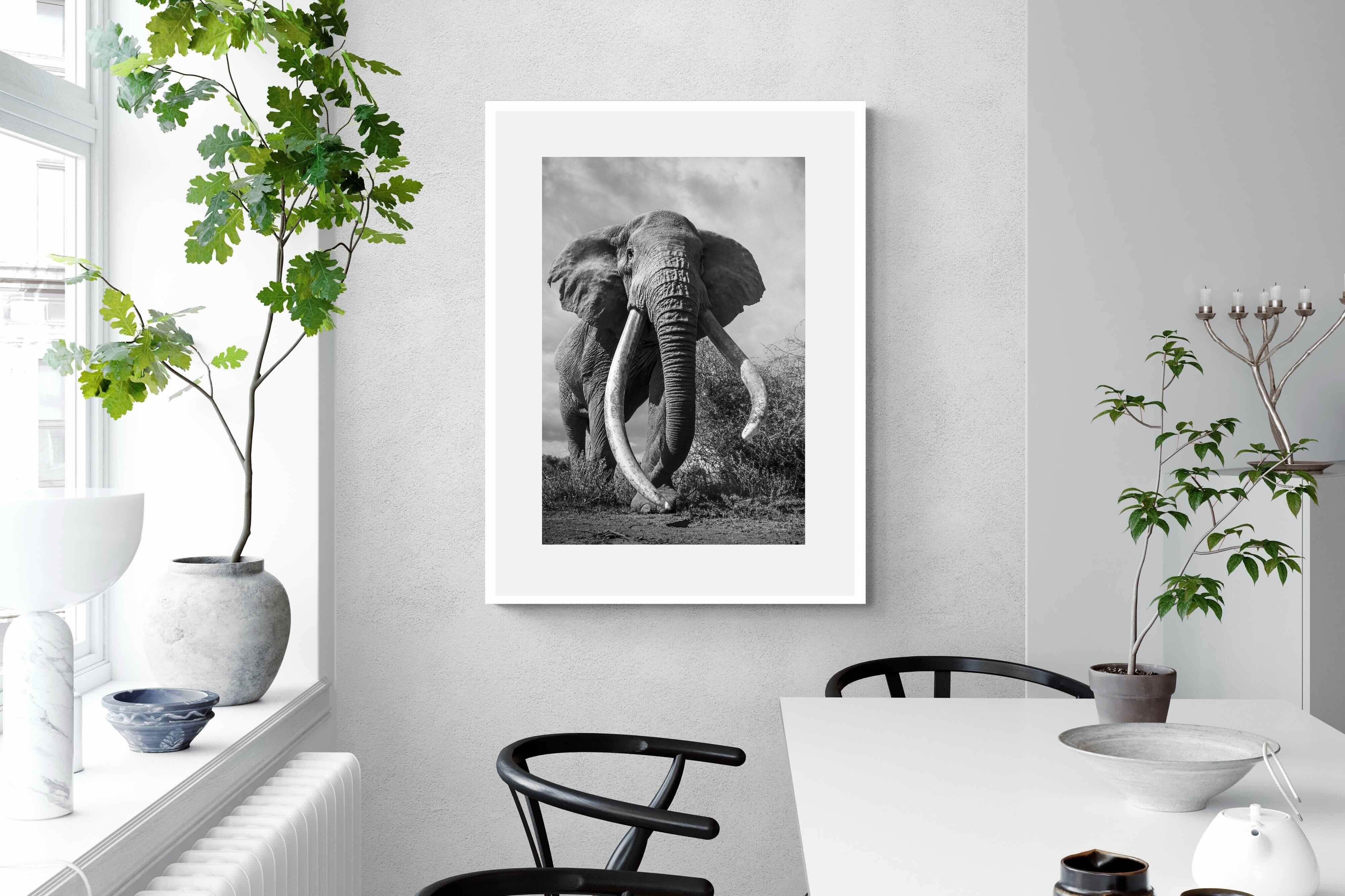 Pixalot Super Tusker