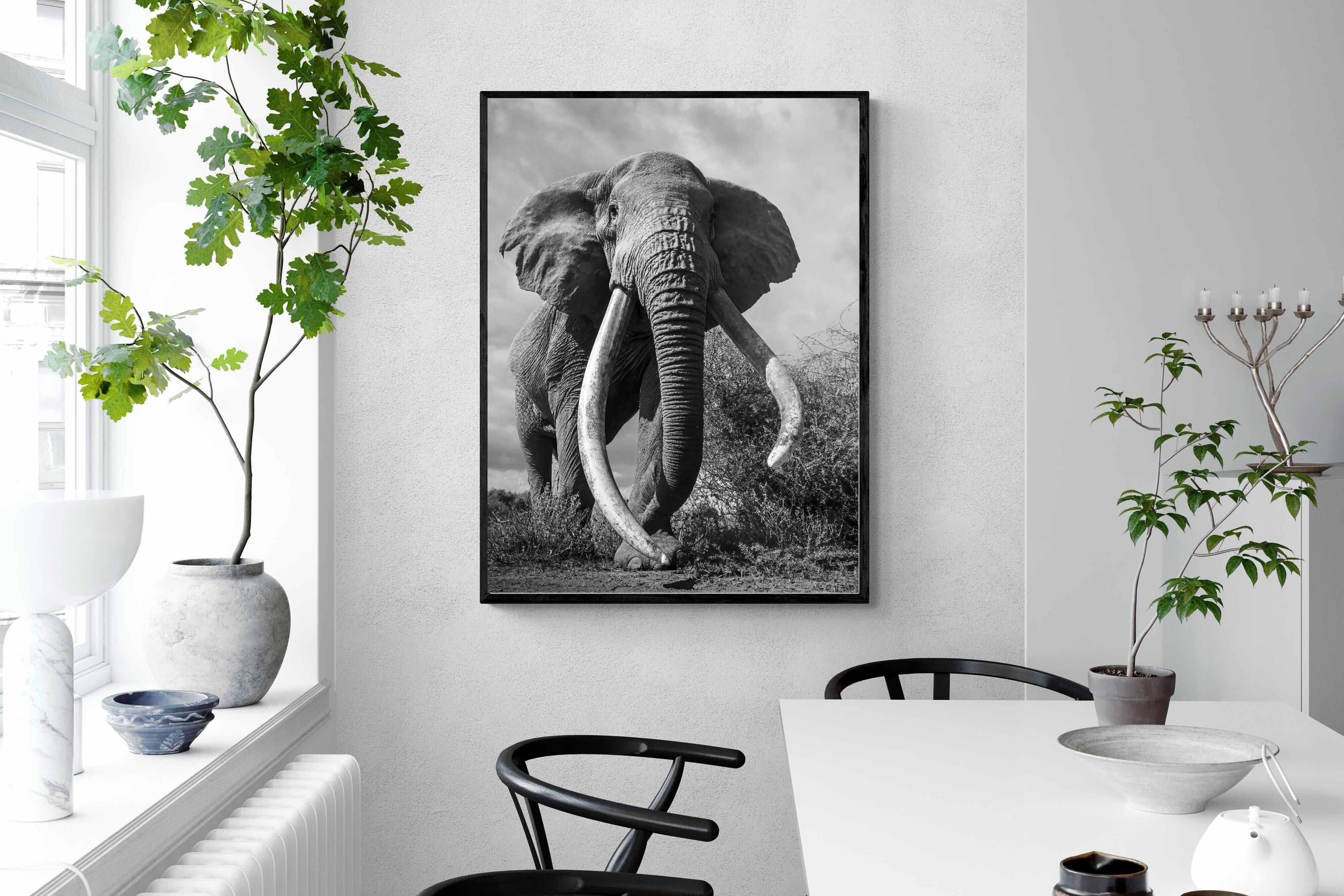 Pixalot Super Tusker