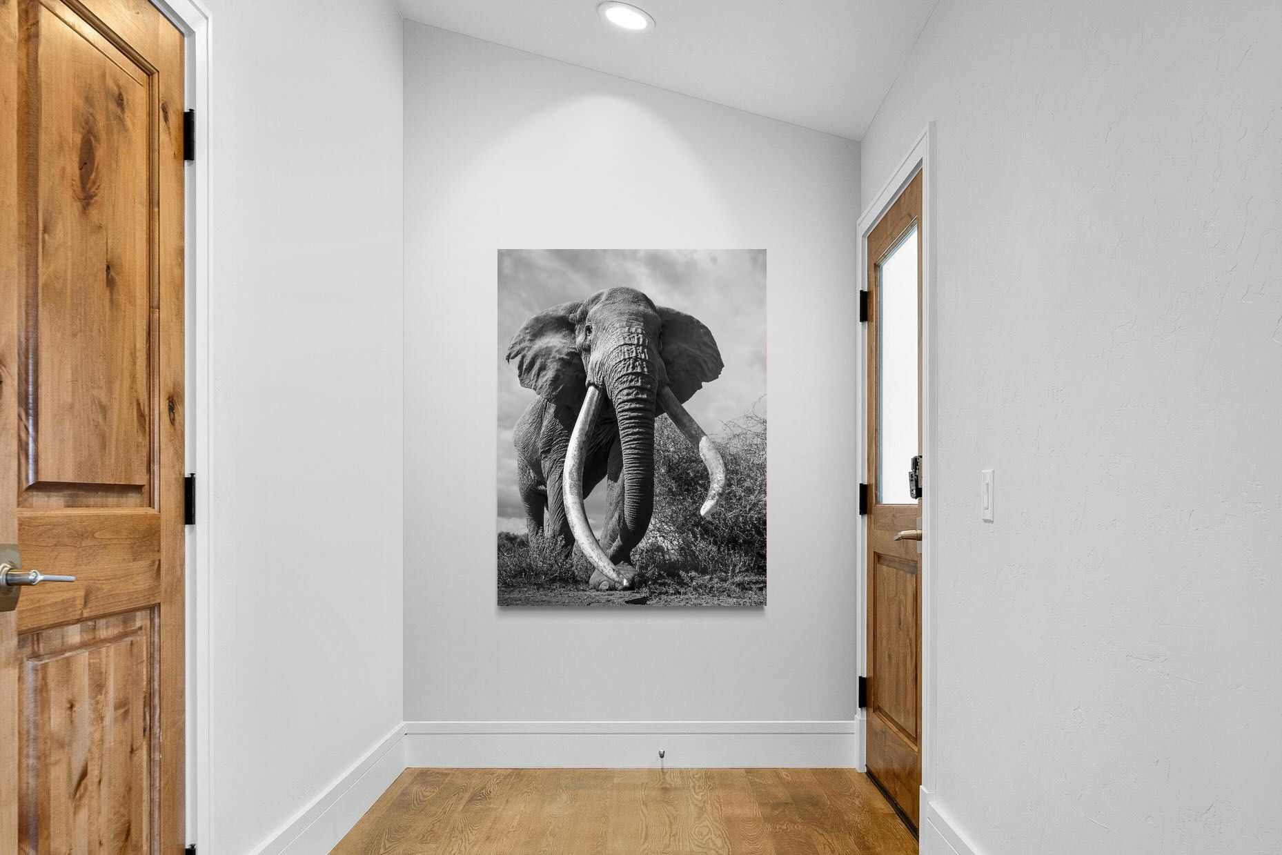 Pixalot Super Tusker