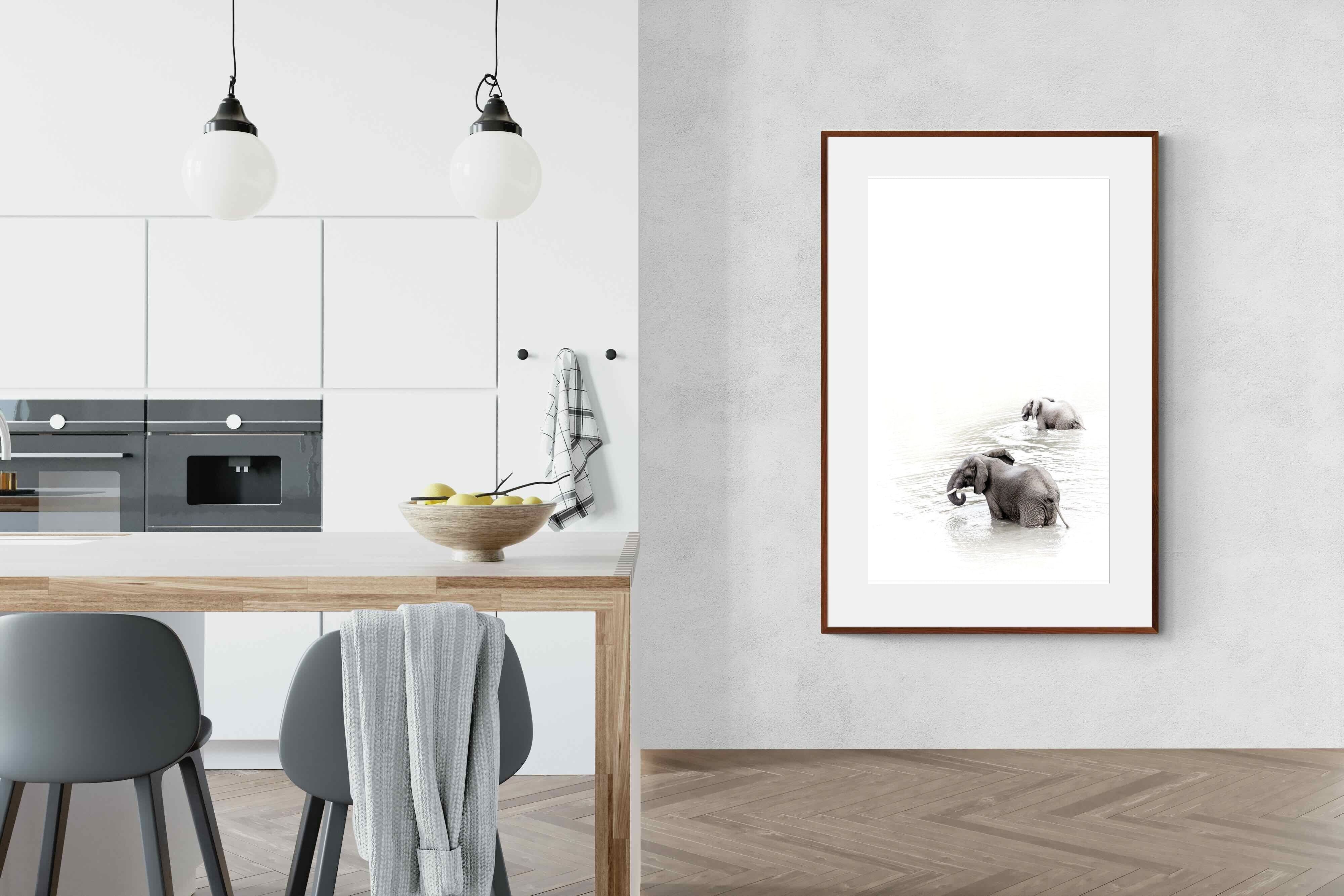 Pixalot Swimming Elephants