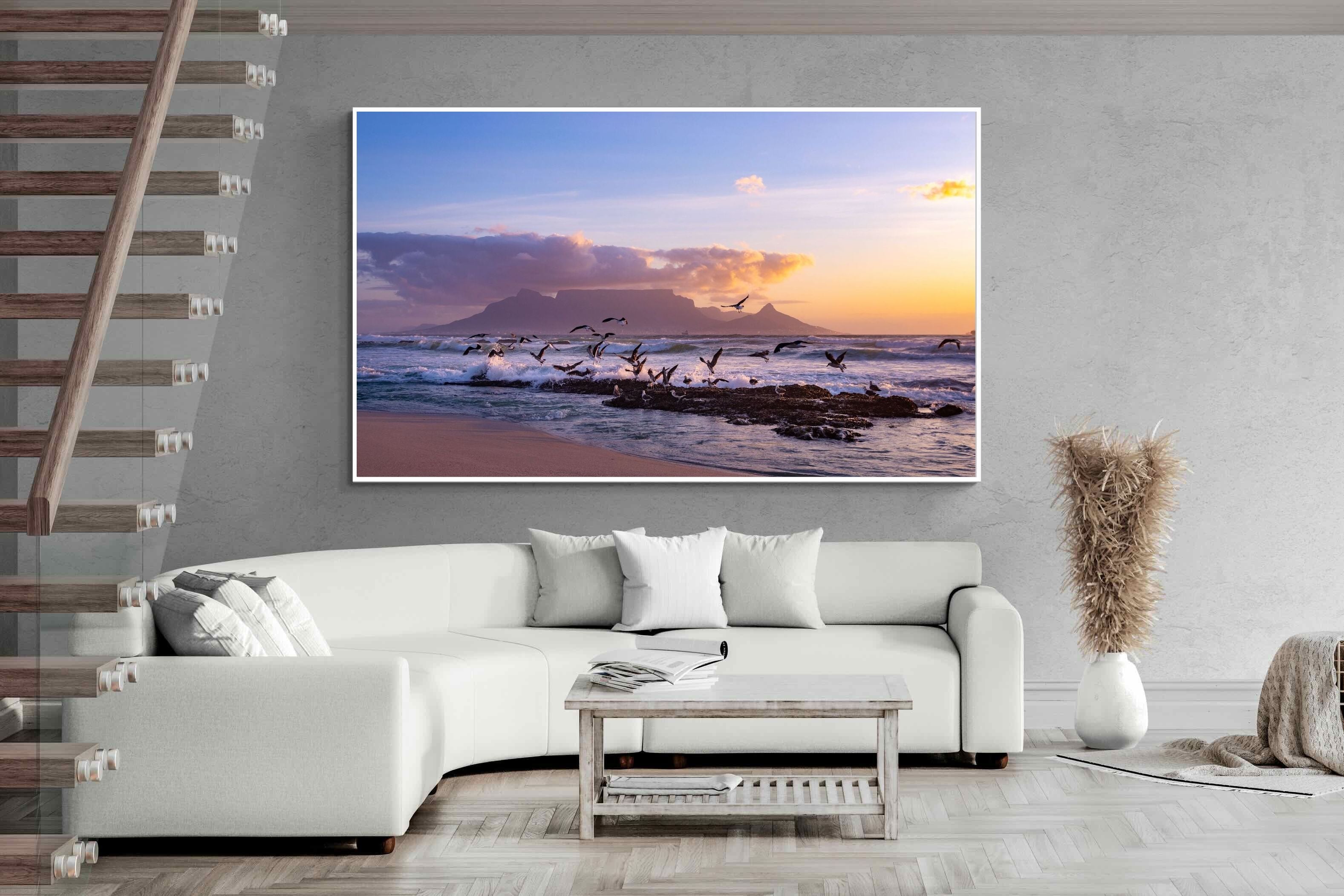 Pixalot Table Mountain Gulls