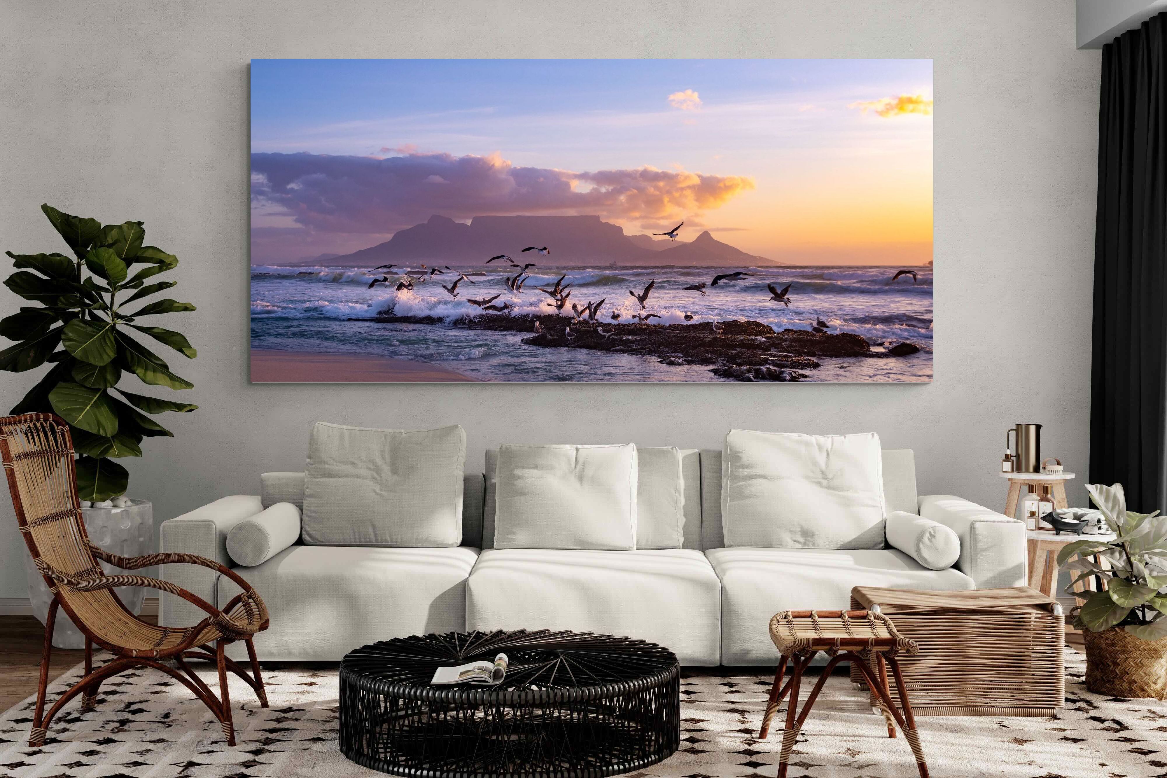 Pixalot Table Mountain Gulls