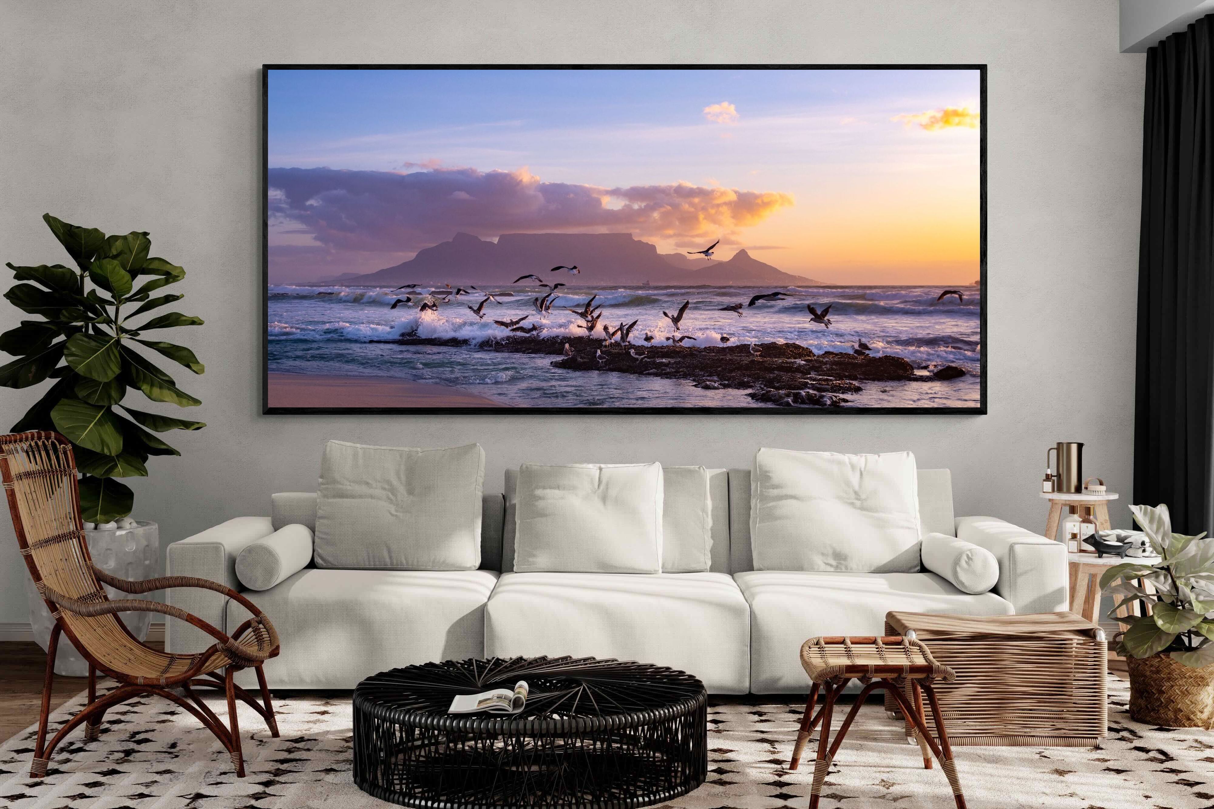 Pixalot Table Mountain Gulls