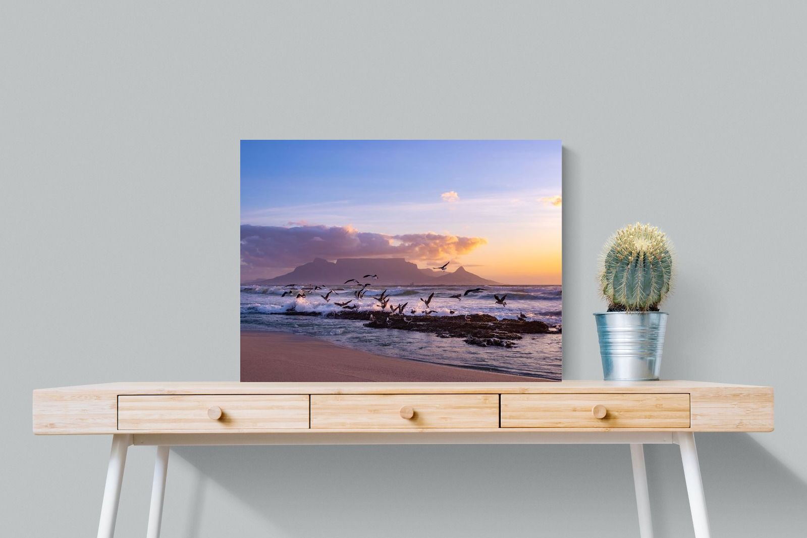 Pixalot Table Mountain Gulls