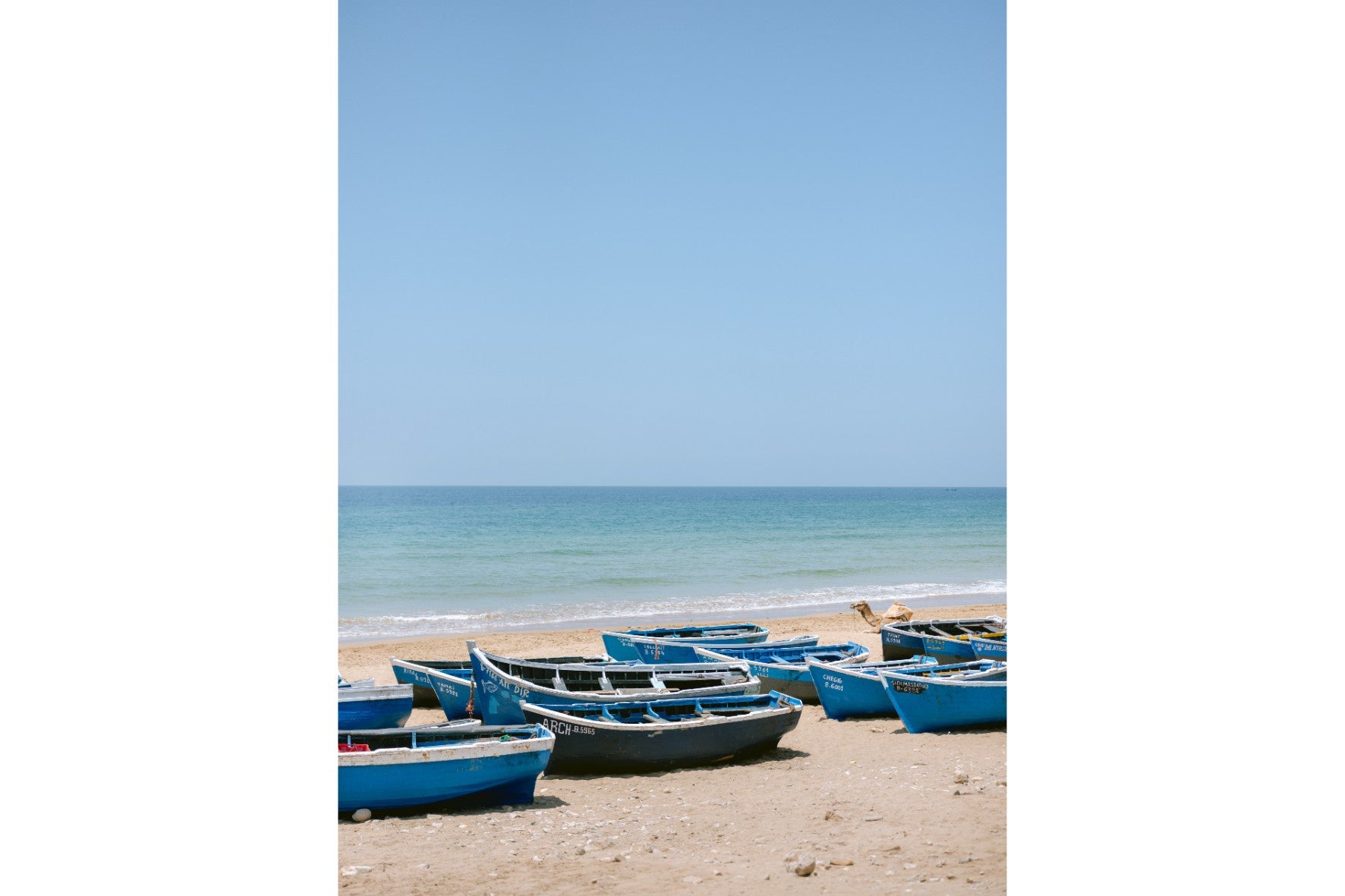 Taghazout Boats
