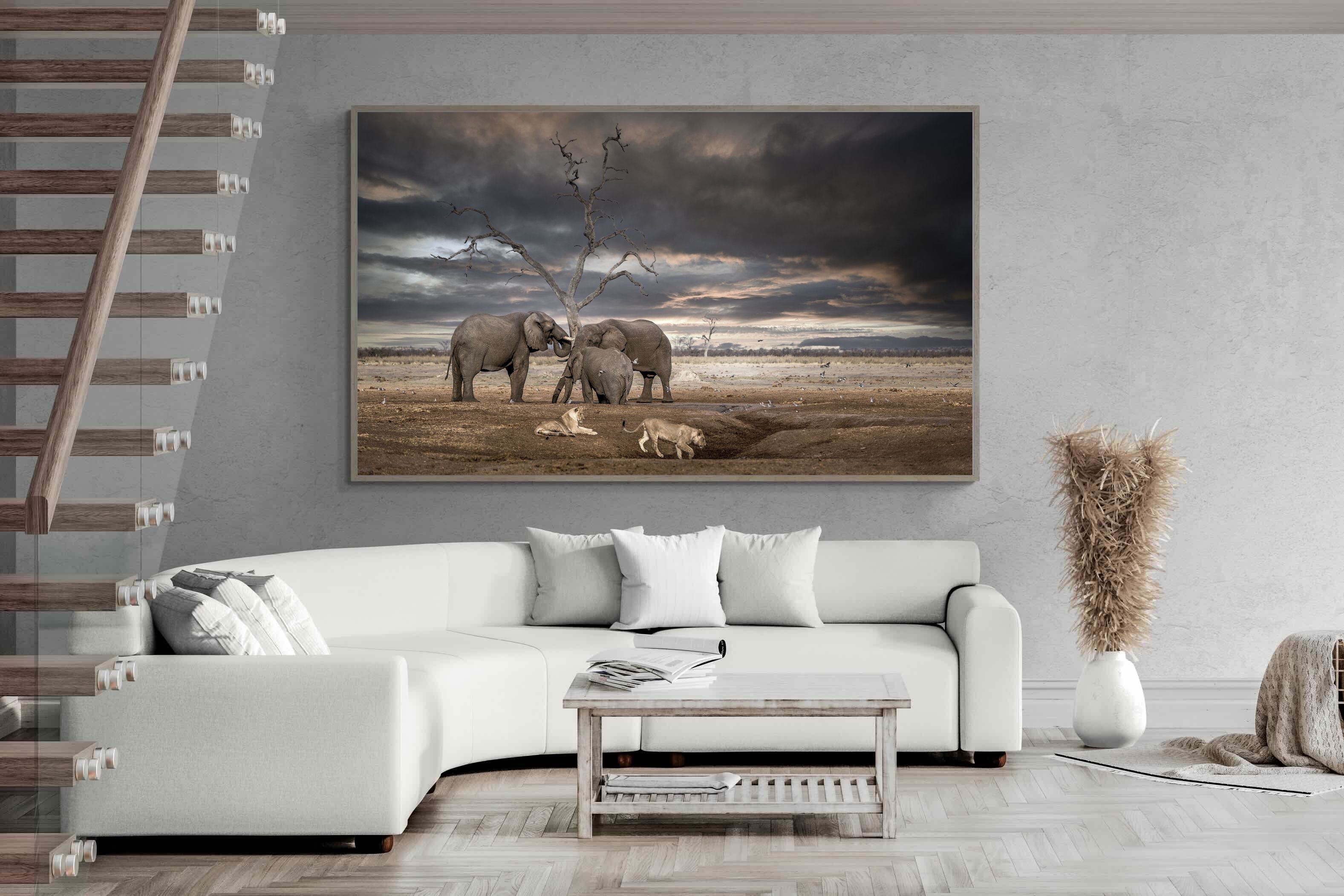 Pixalot Tension at Dusk