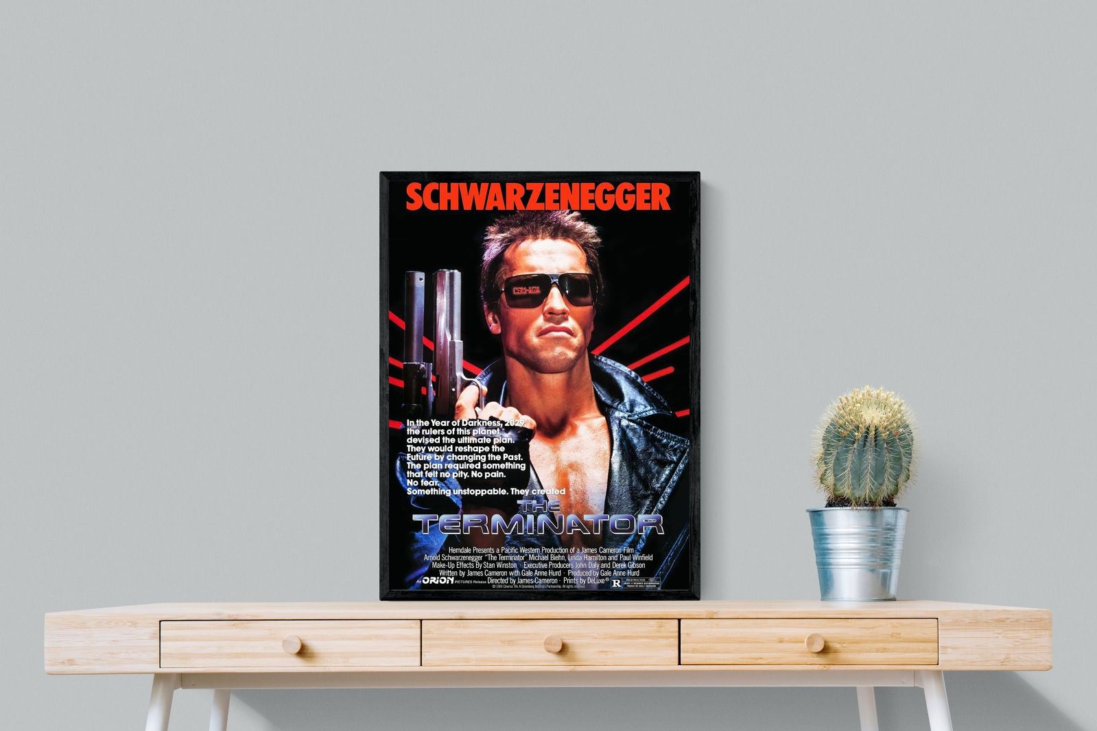 Pixalot Terminator