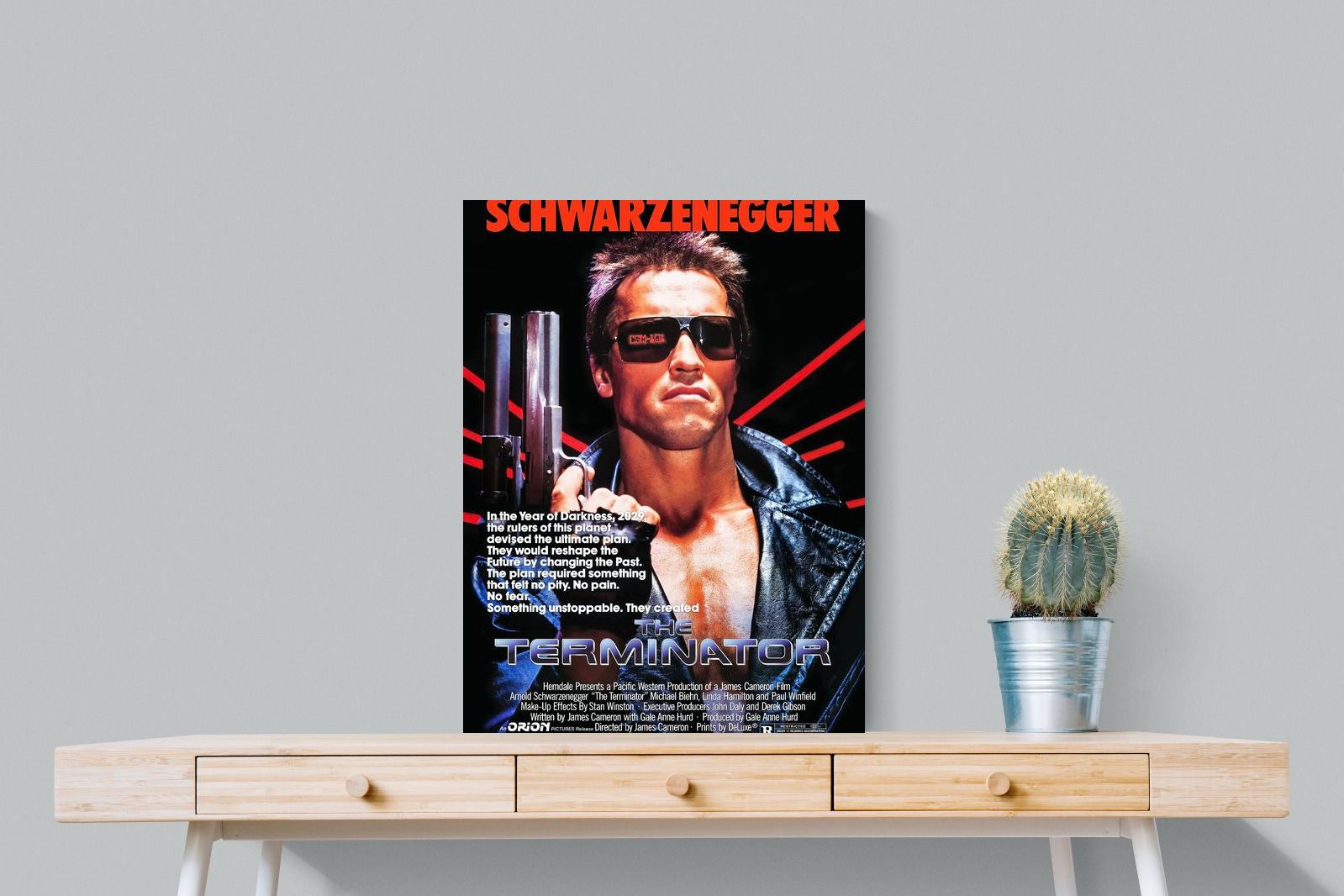 Pixalot Terminator