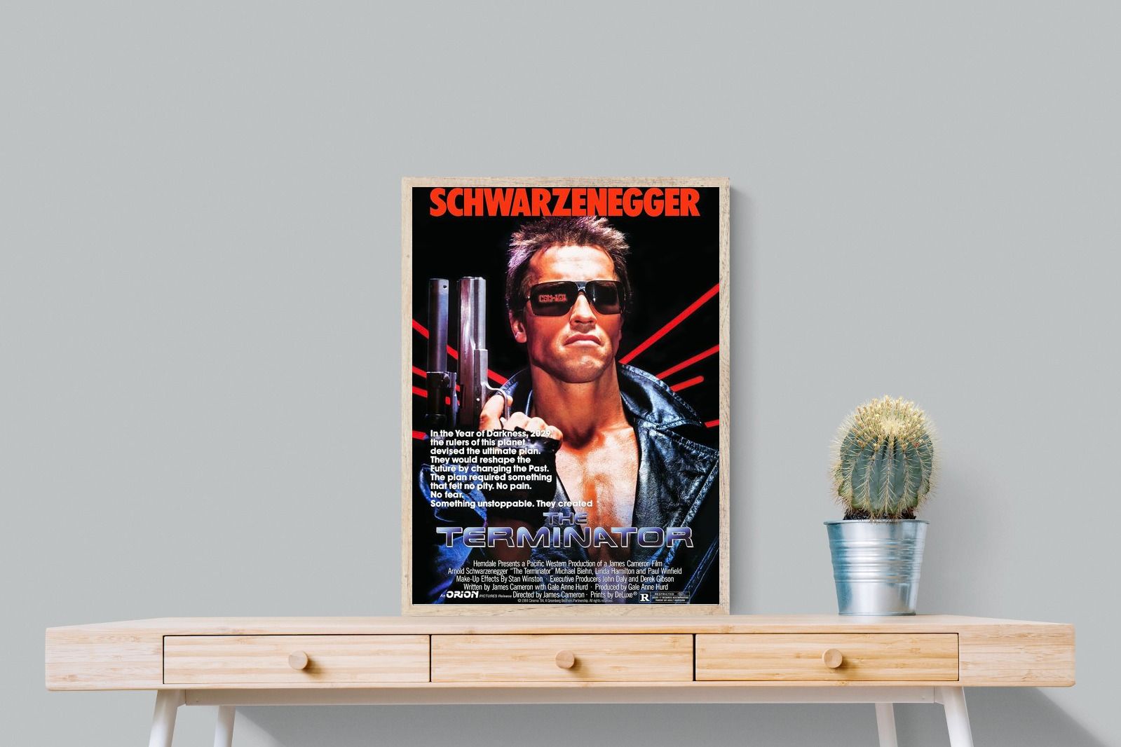 Pixalot Terminator