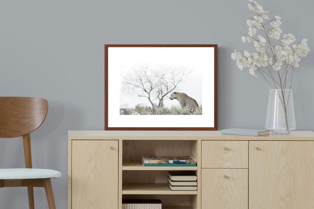 Pixalot Thoughtful Leopard