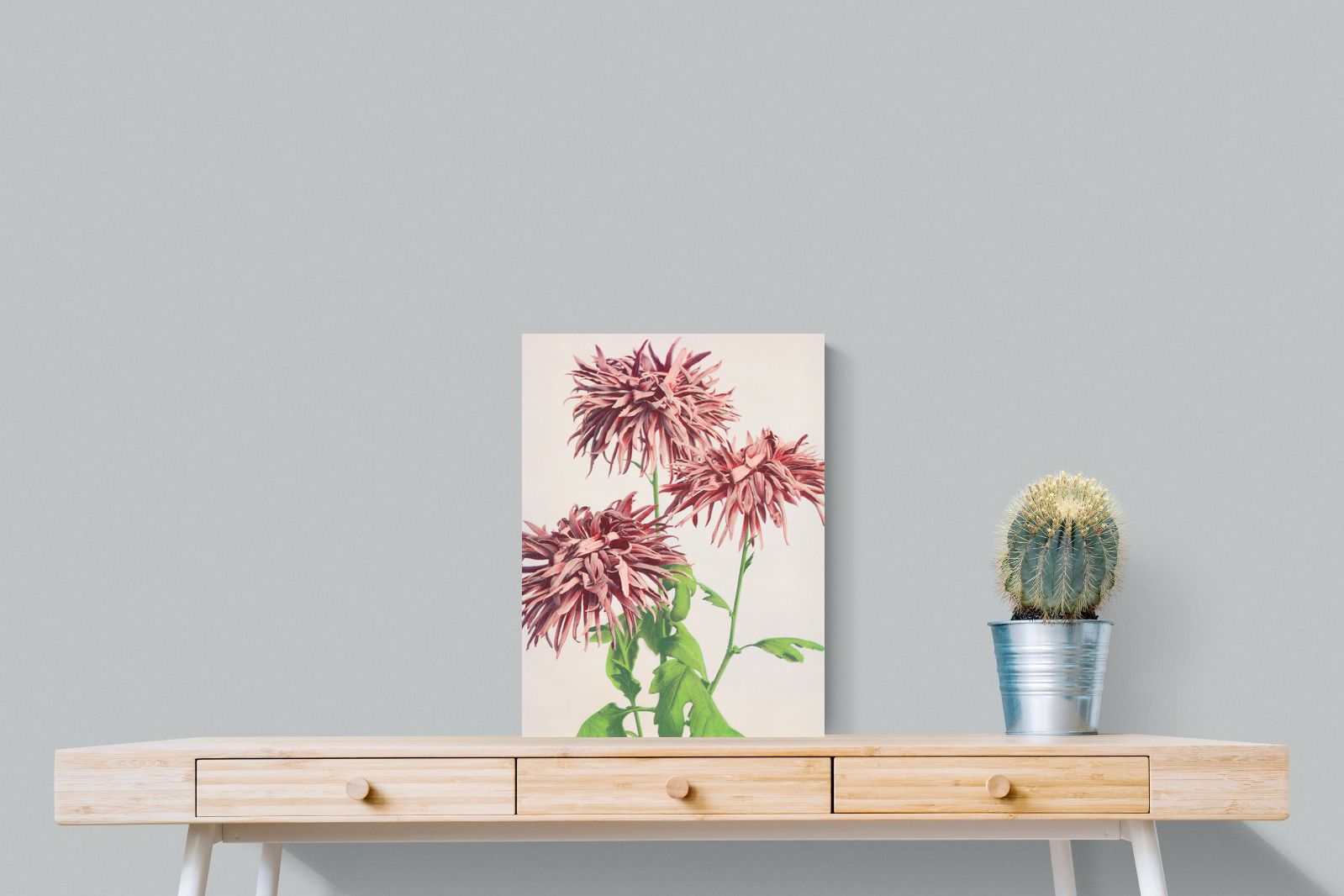 Pixalot Three Pink Chrysanthemums