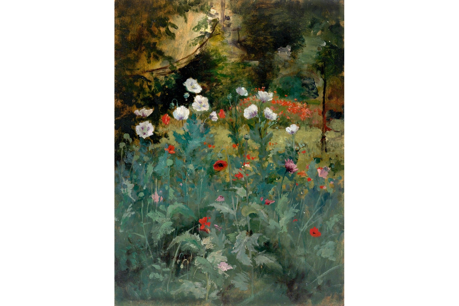 Tranquil Poppy Garden