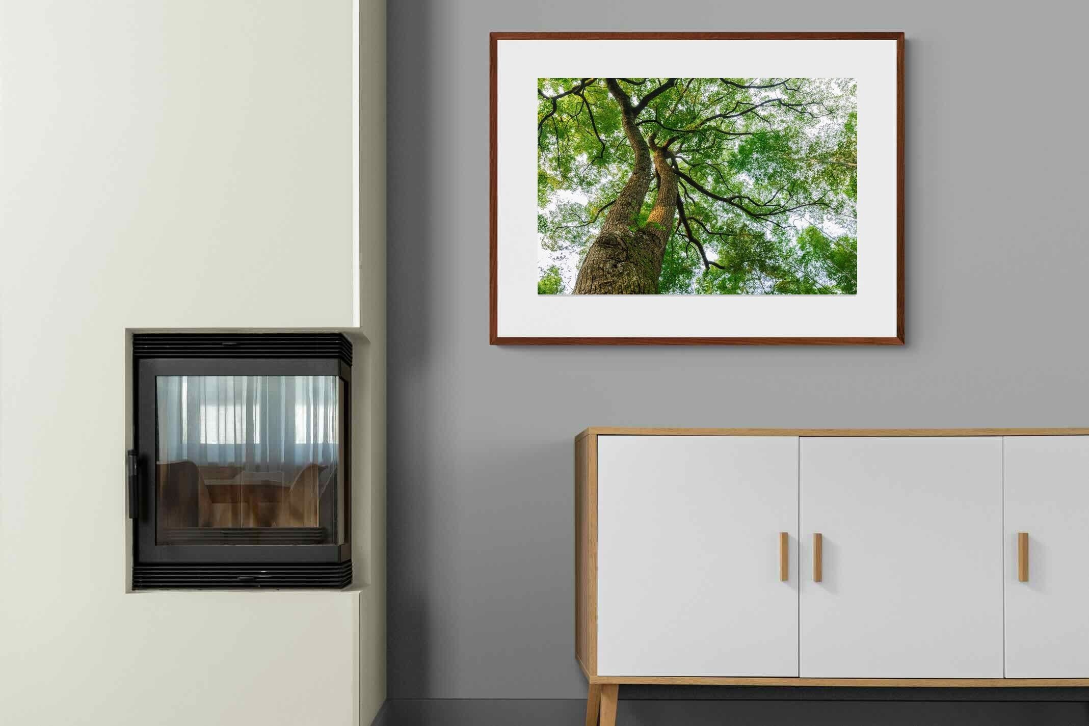 Pixalot ® Tree Canopy