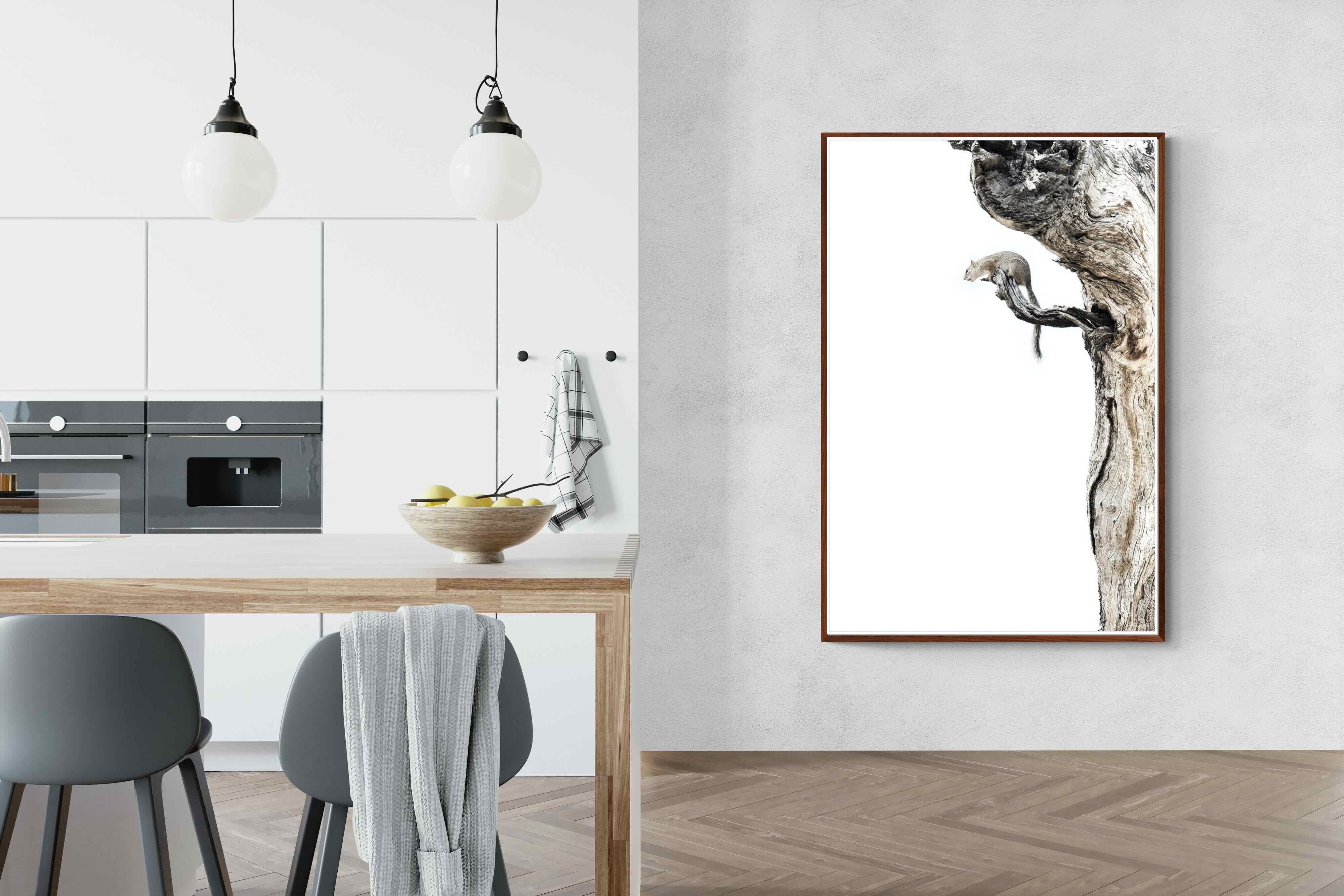 Pixalot Tree Squirrel