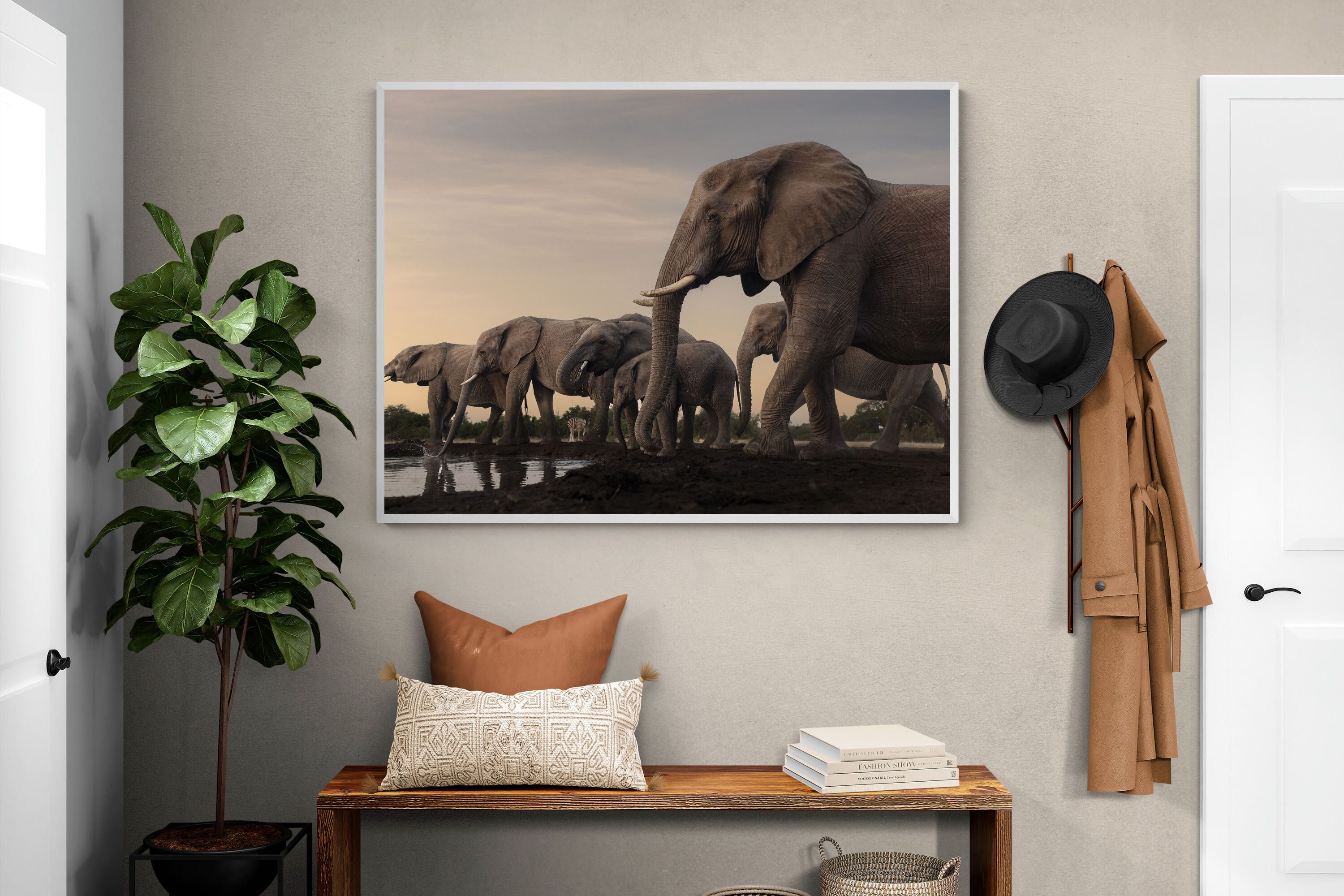 Pixalot Twilight Gathering