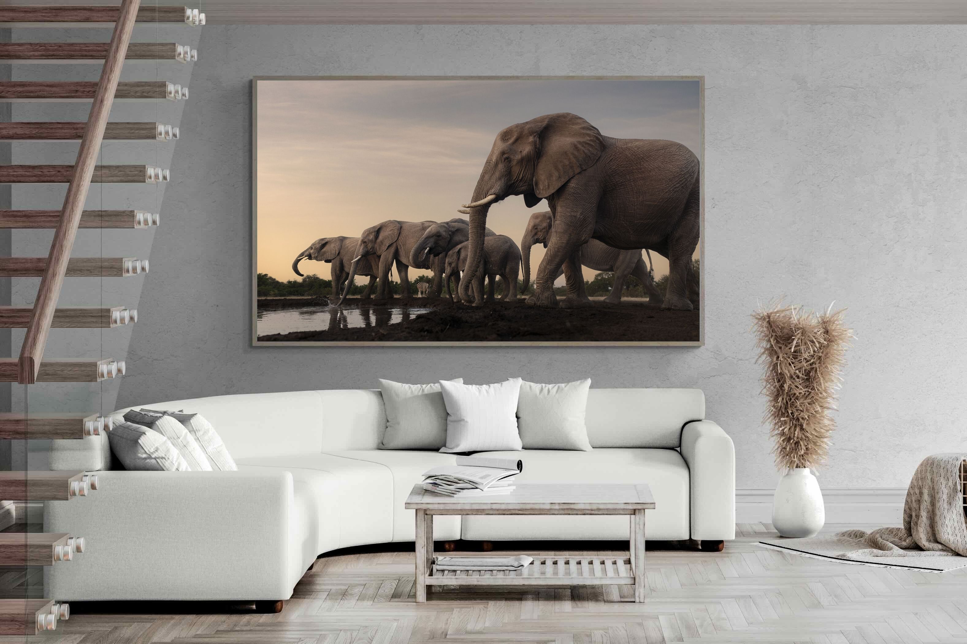 Pixalot Twilight Gathering