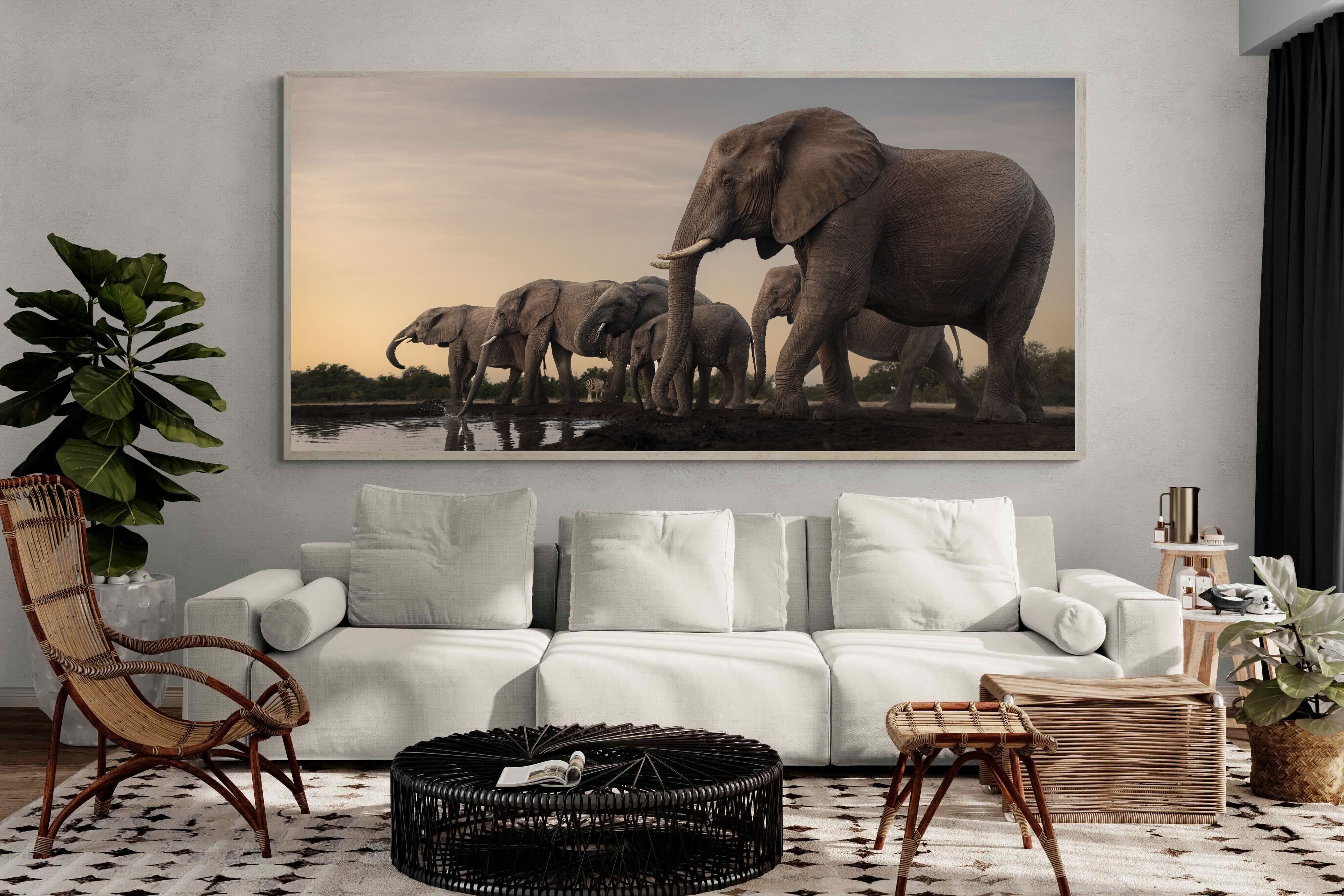 Pixalot Twilight Gathering