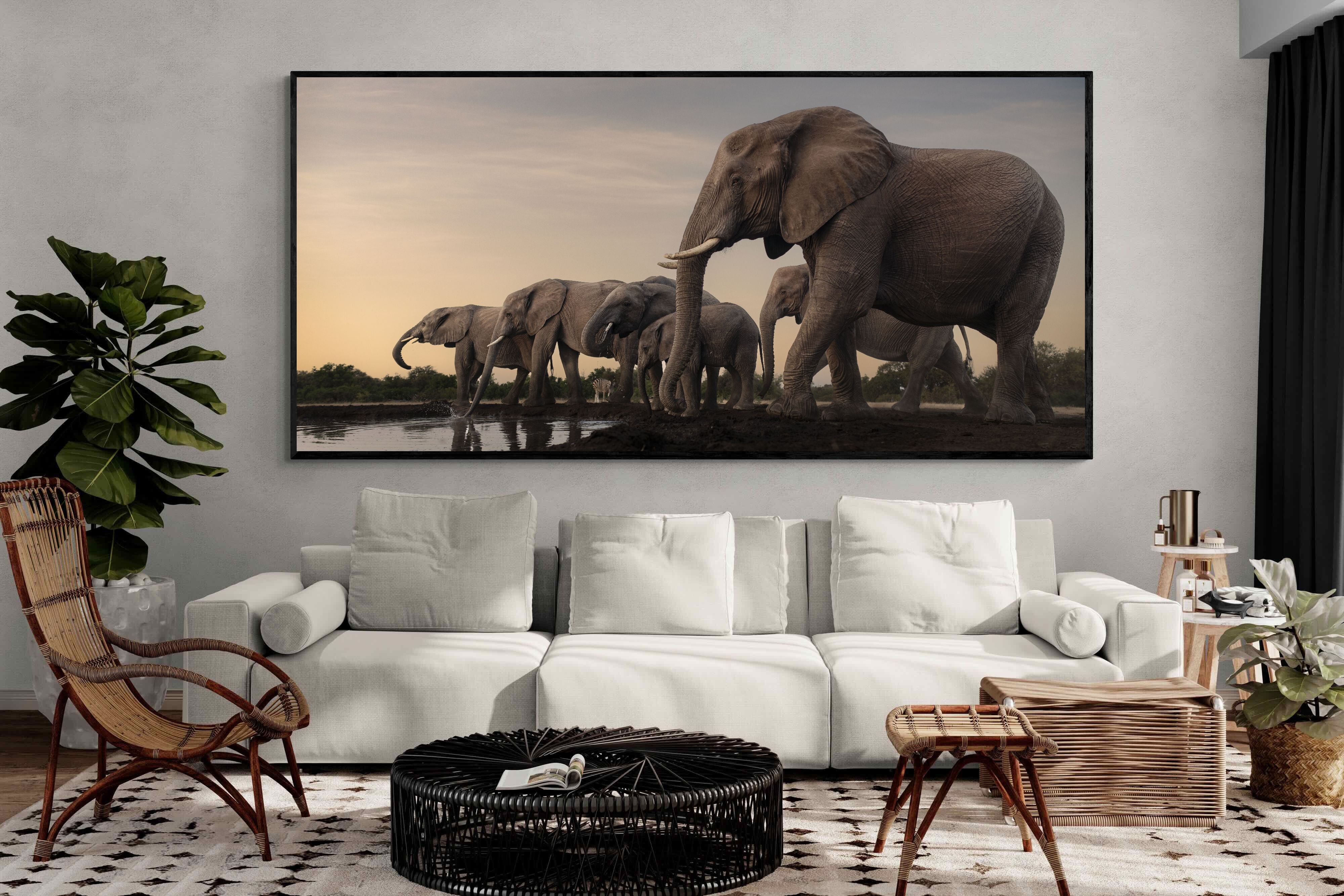 Pixalot Twilight Gathering