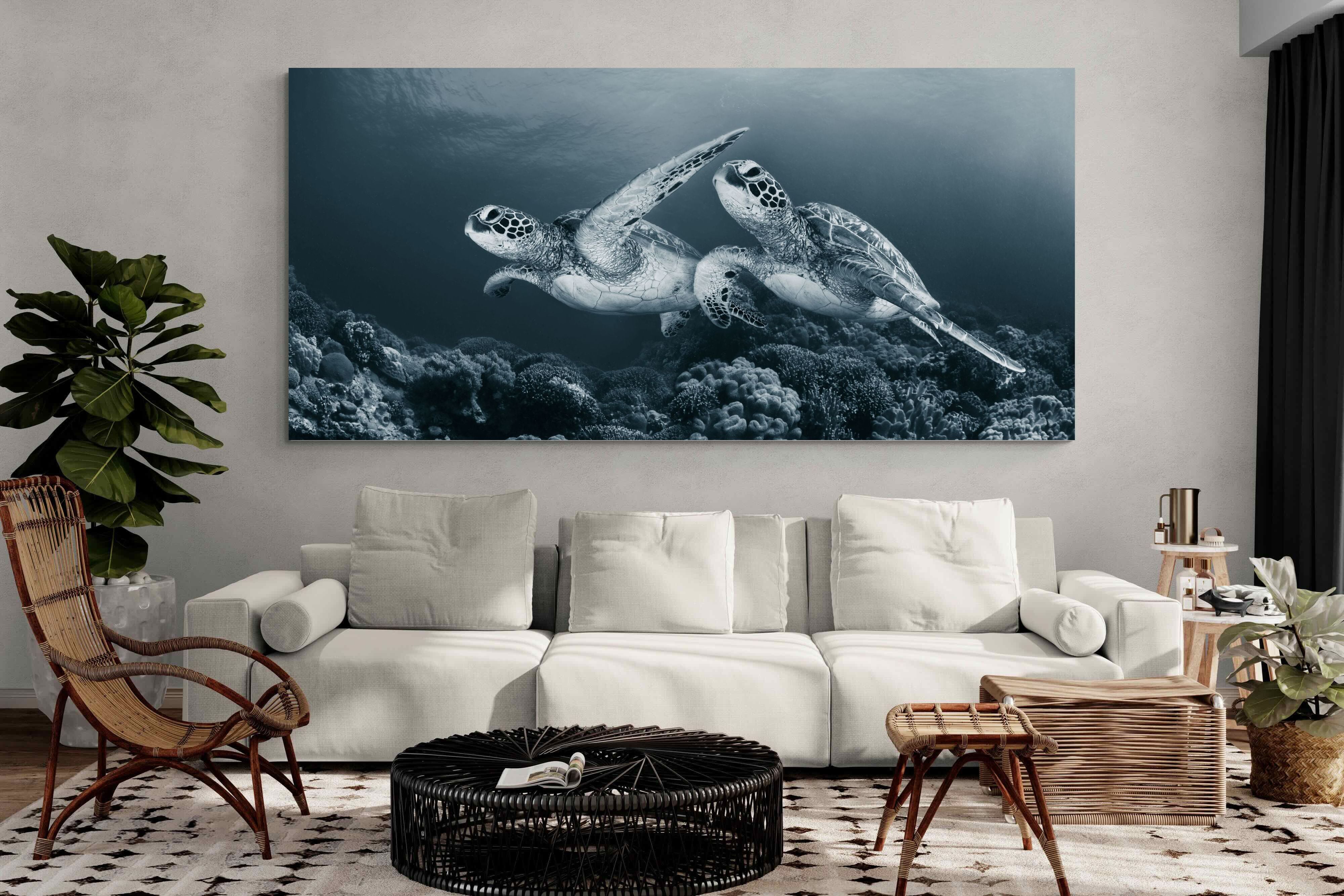 Pixalot Twin Turtles