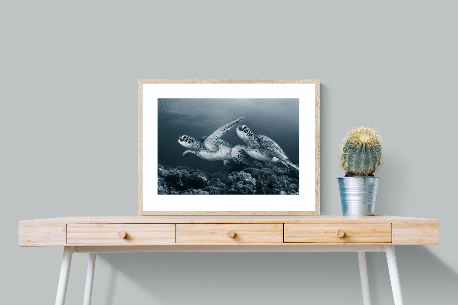 Pixalot Twin Turtles