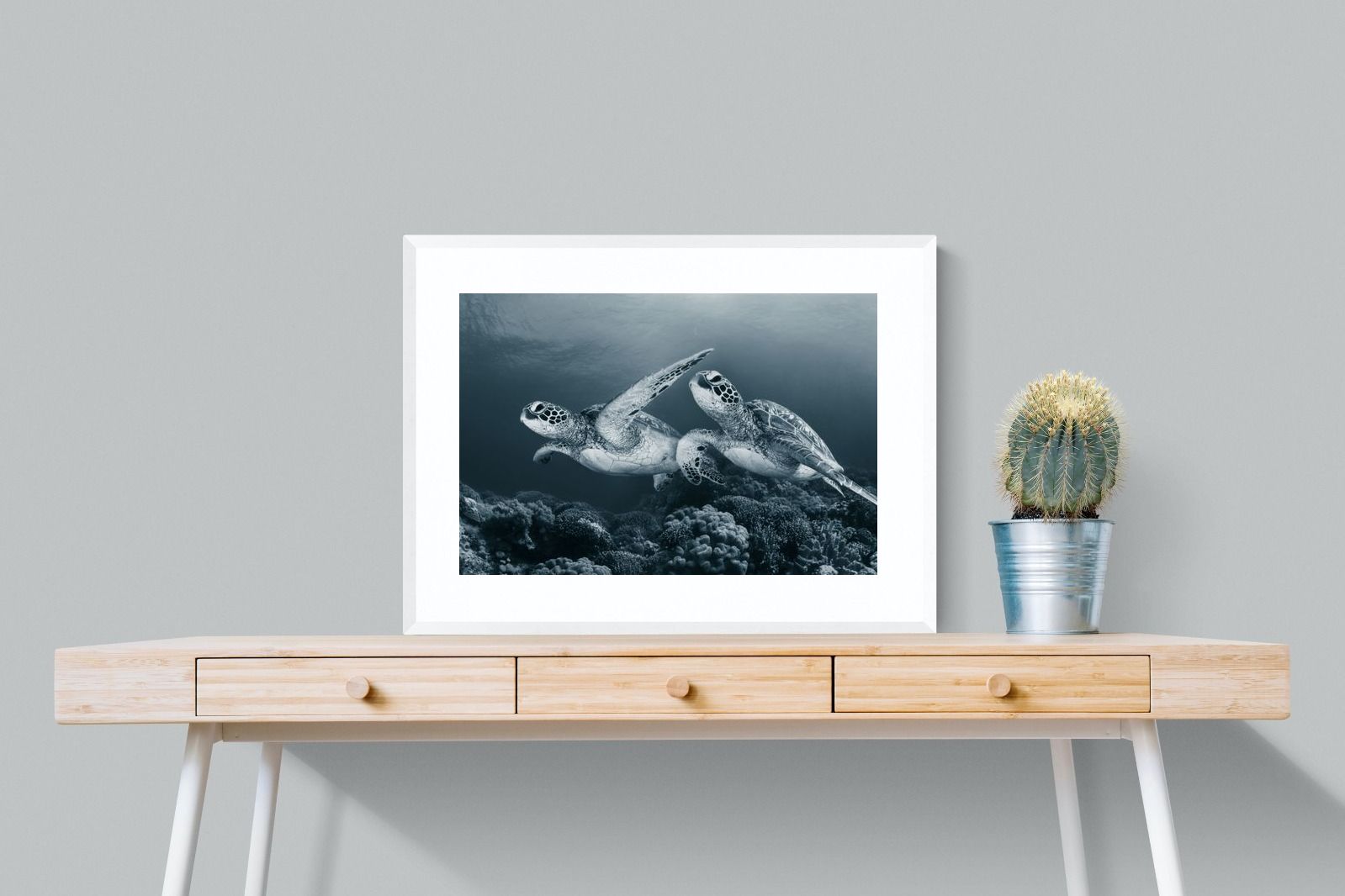 Pixalot Twin Turtles