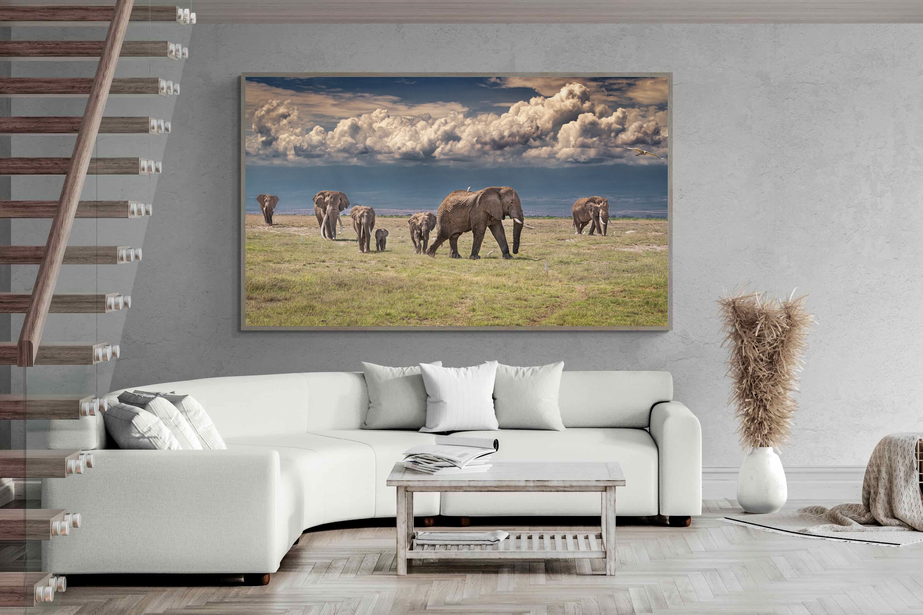 Pixalot Under Gathering Skies