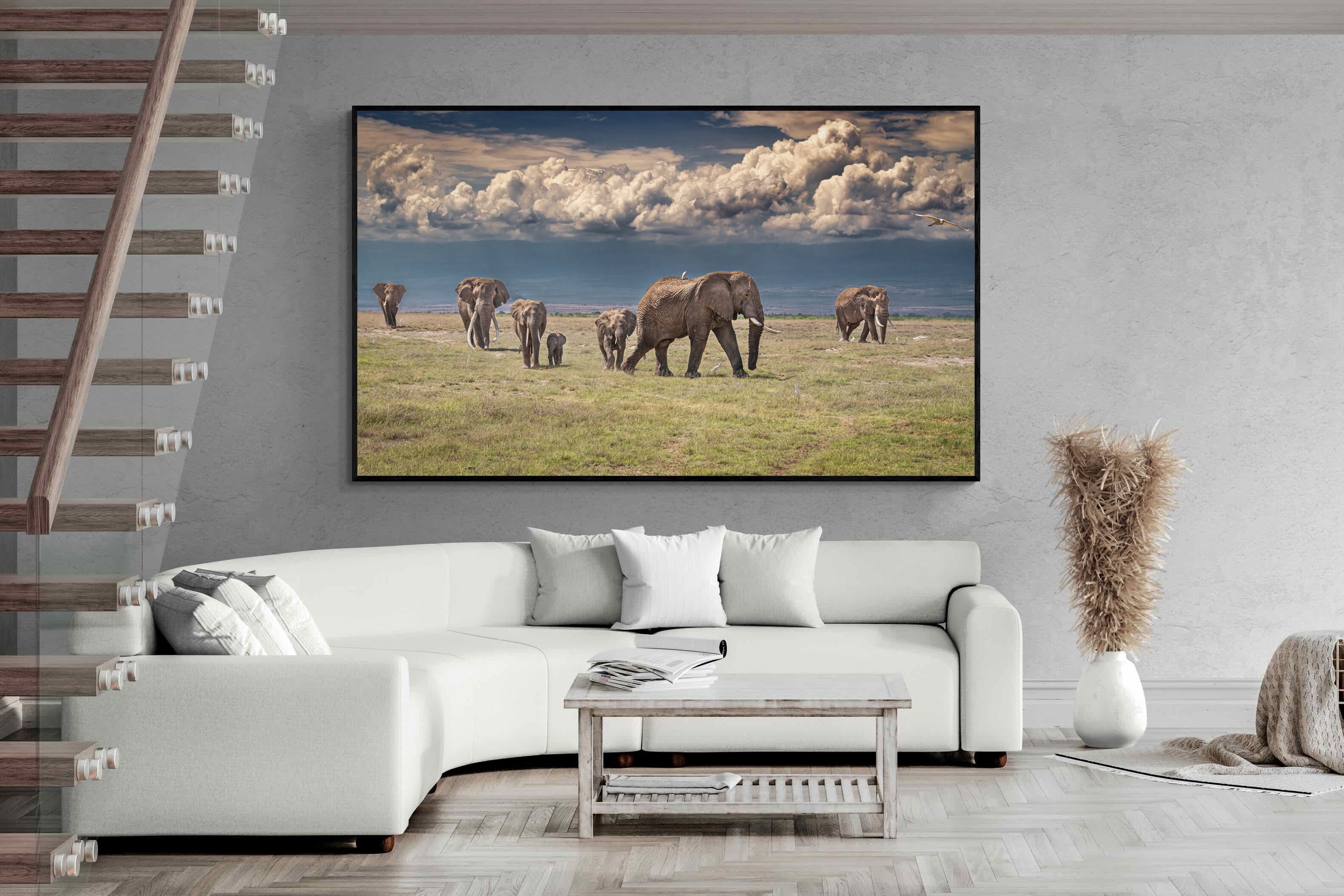 Pixalot Under Gathering Skies