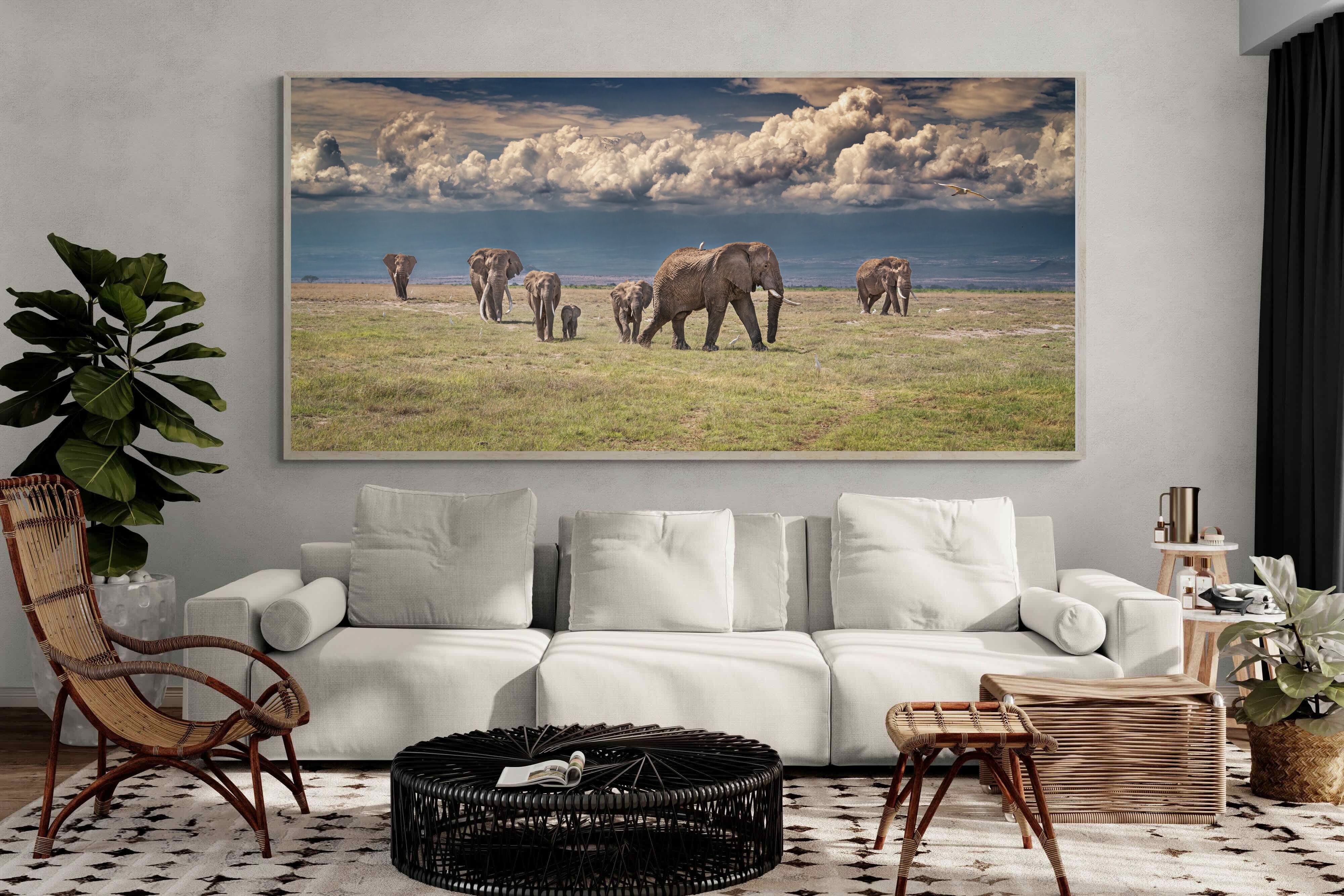 Pixalot Under Gathering Skies