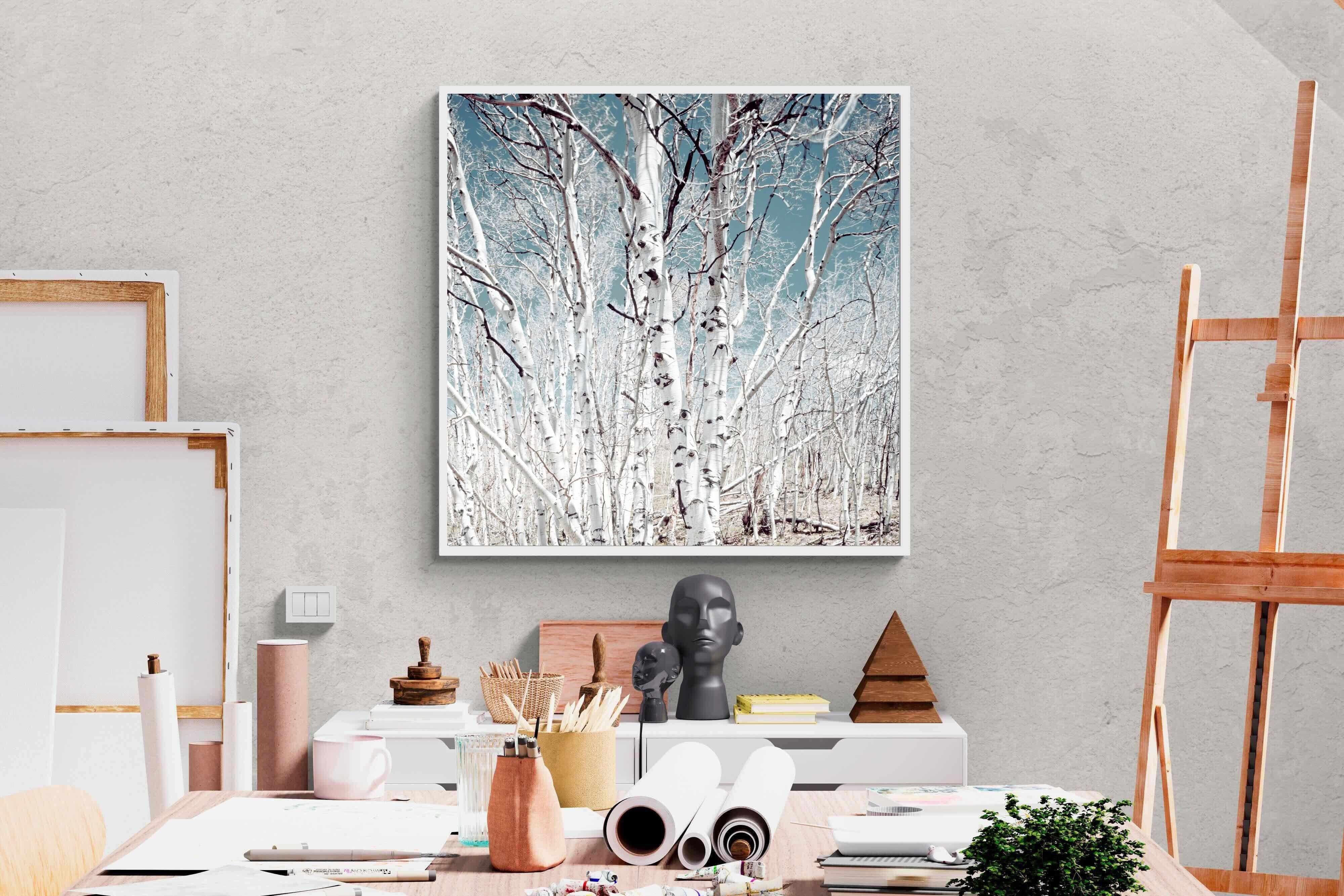 Pixalot Utah Birch Trees