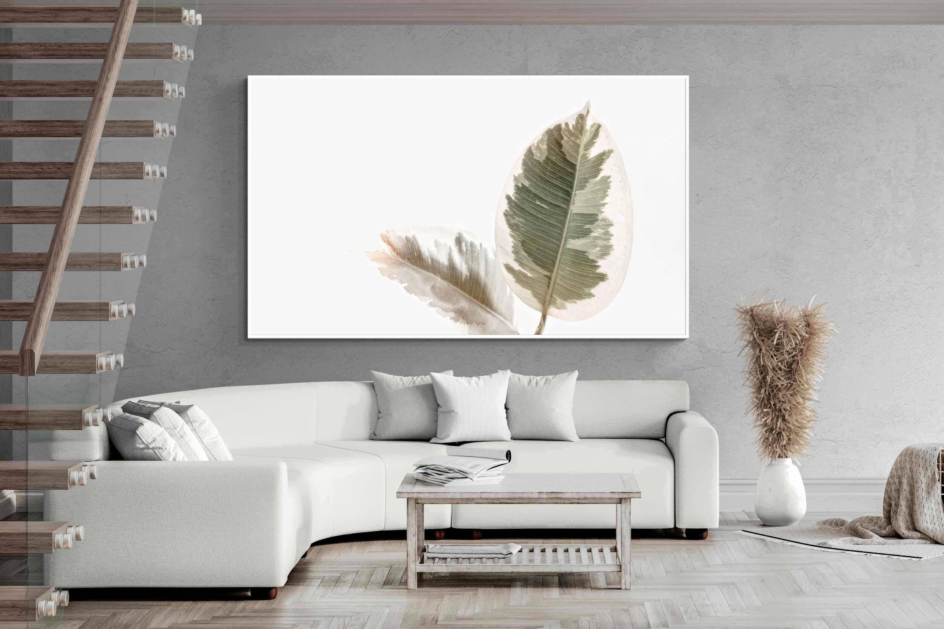 Pixalot Variegated Leaves