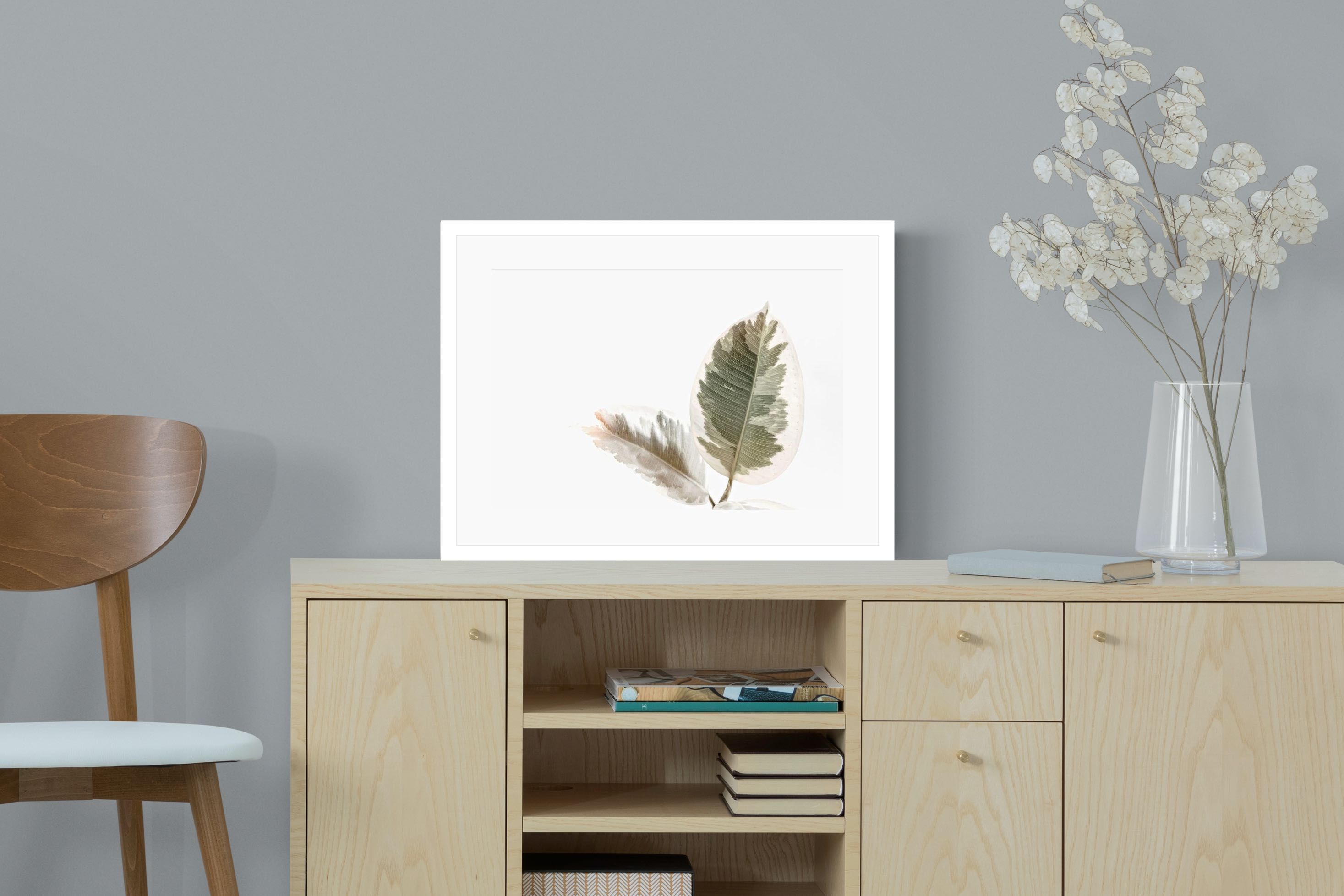 Pixalot Variegated Leaves