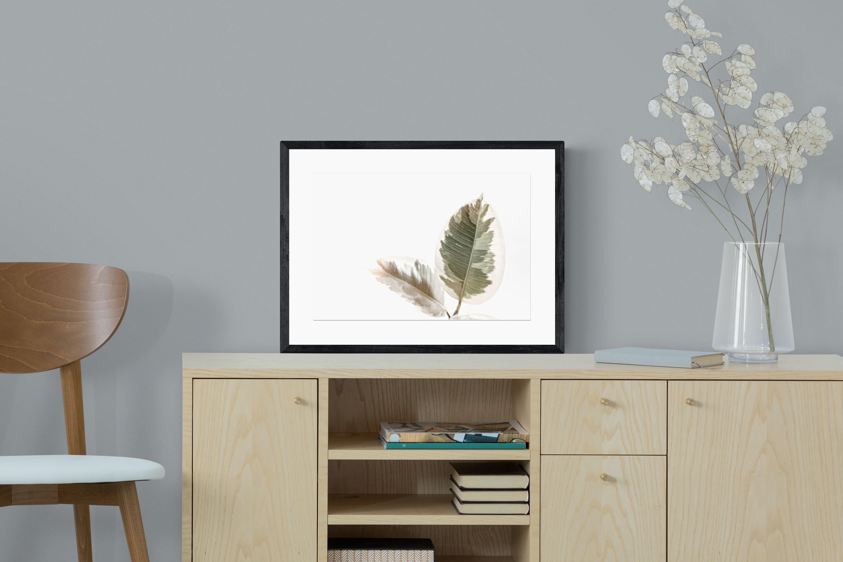 Pixalot Variegated Leaves