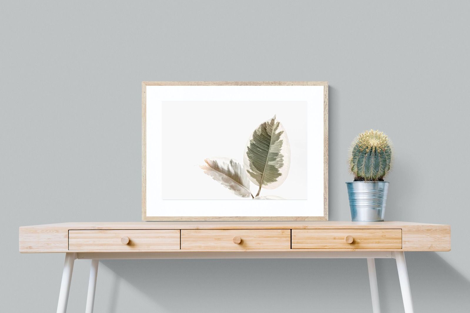 Pixalot Variegated Leaves