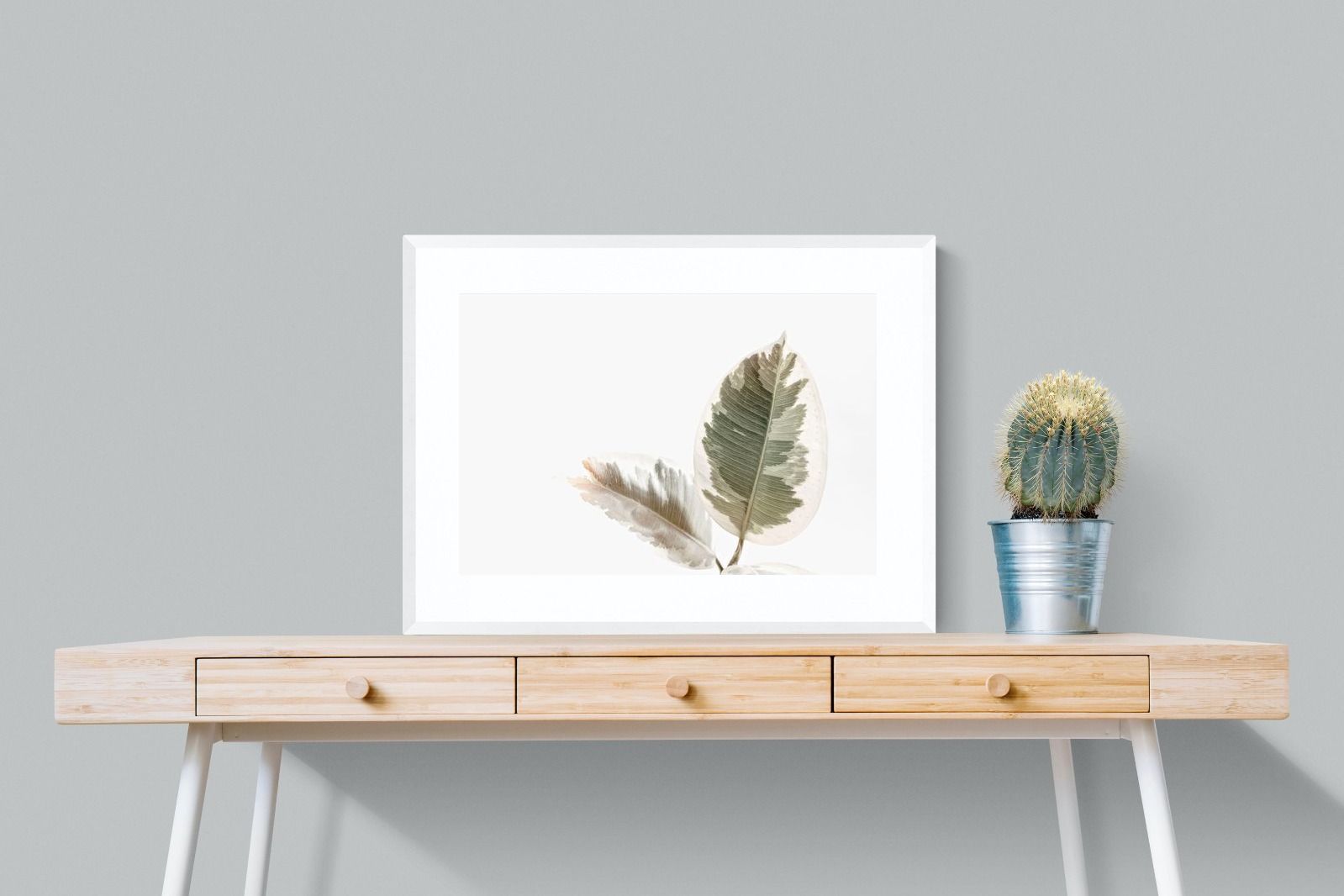 Pixalot Variegated Leaves