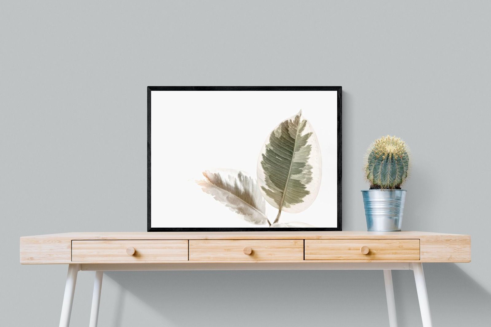 Pixalot Variegated Leaves