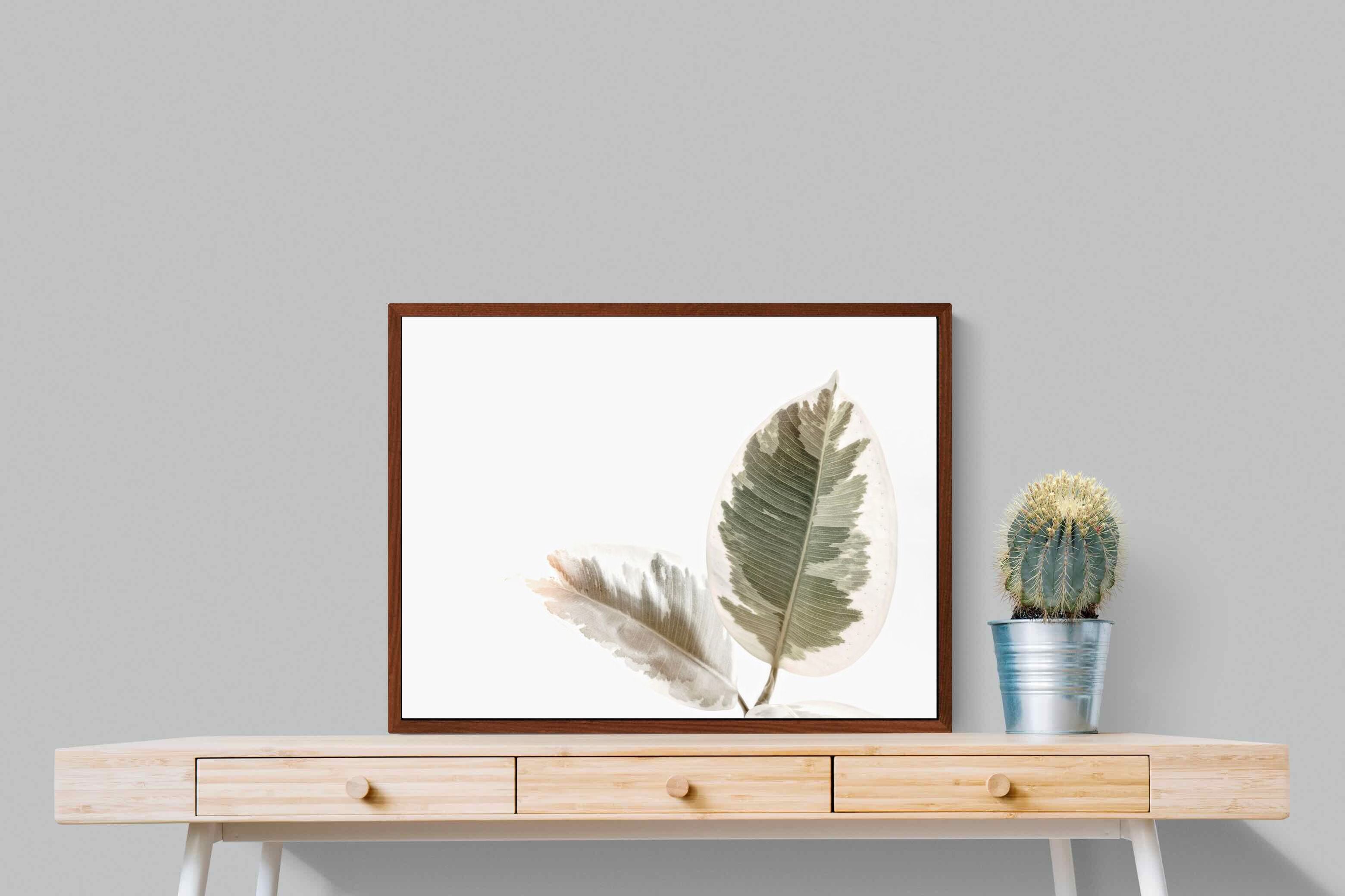 Pixalot Variegated Leaves