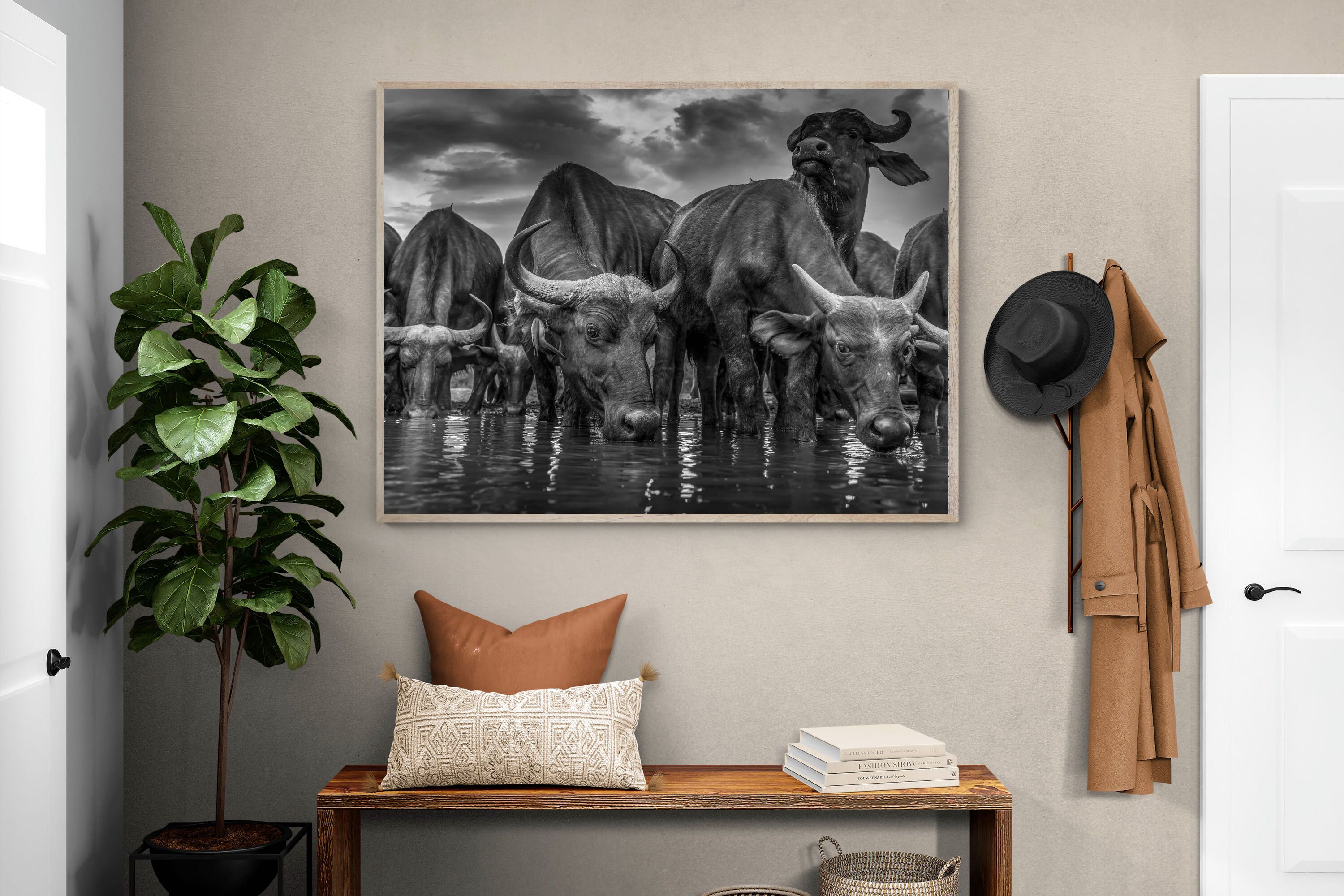 Pixalot Vigilant Herd